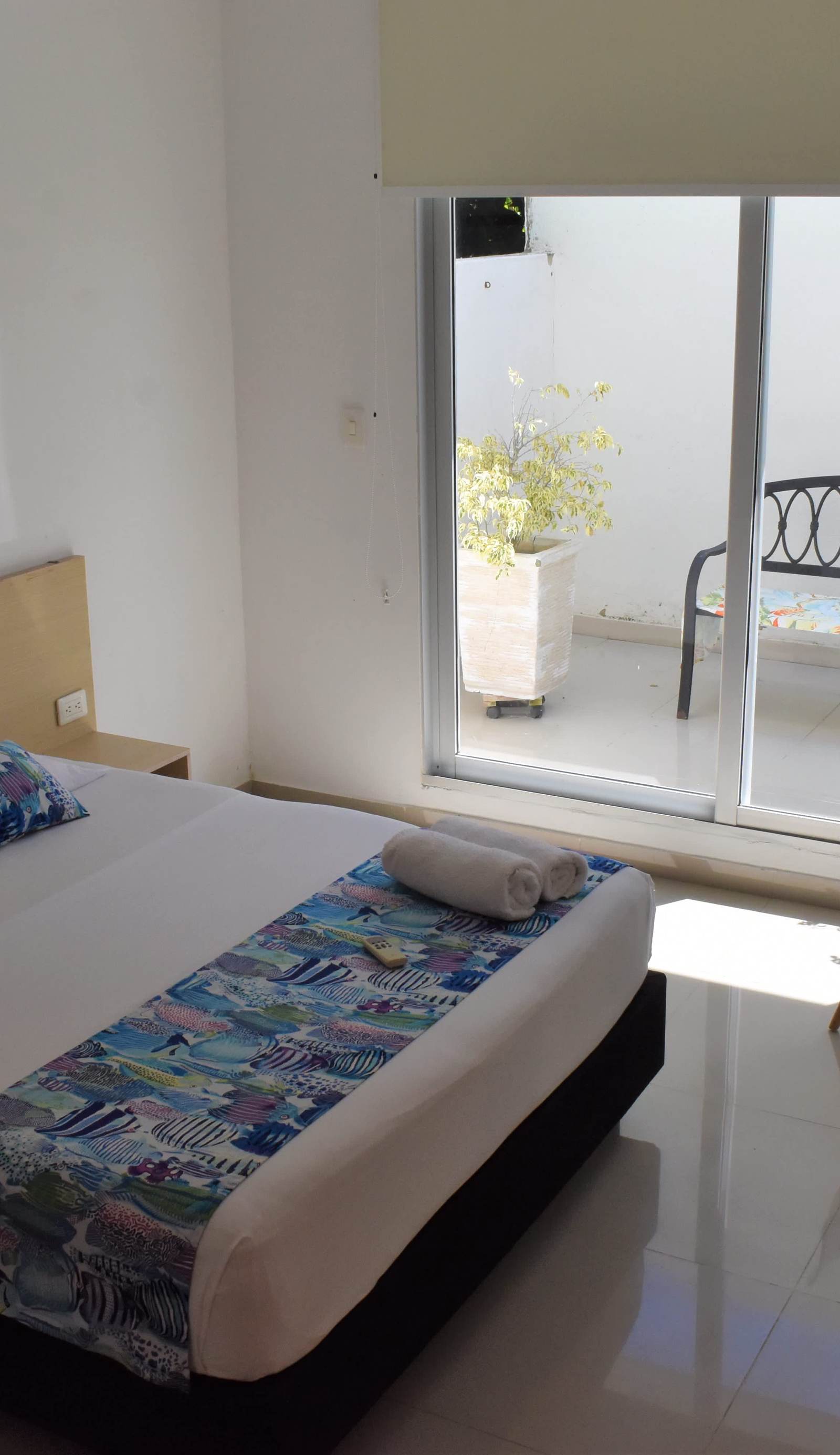 Color Hostel