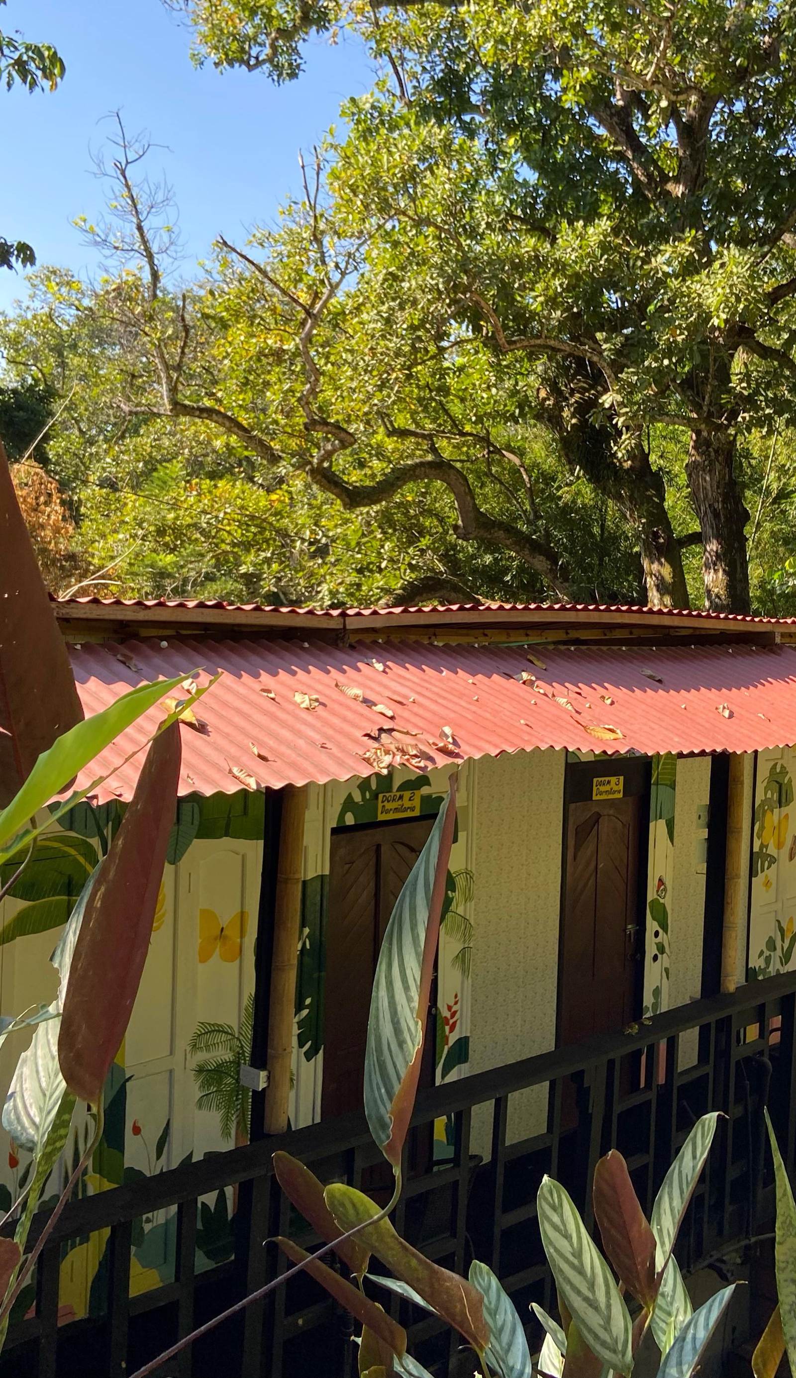 Hostal las Mariposas Minca