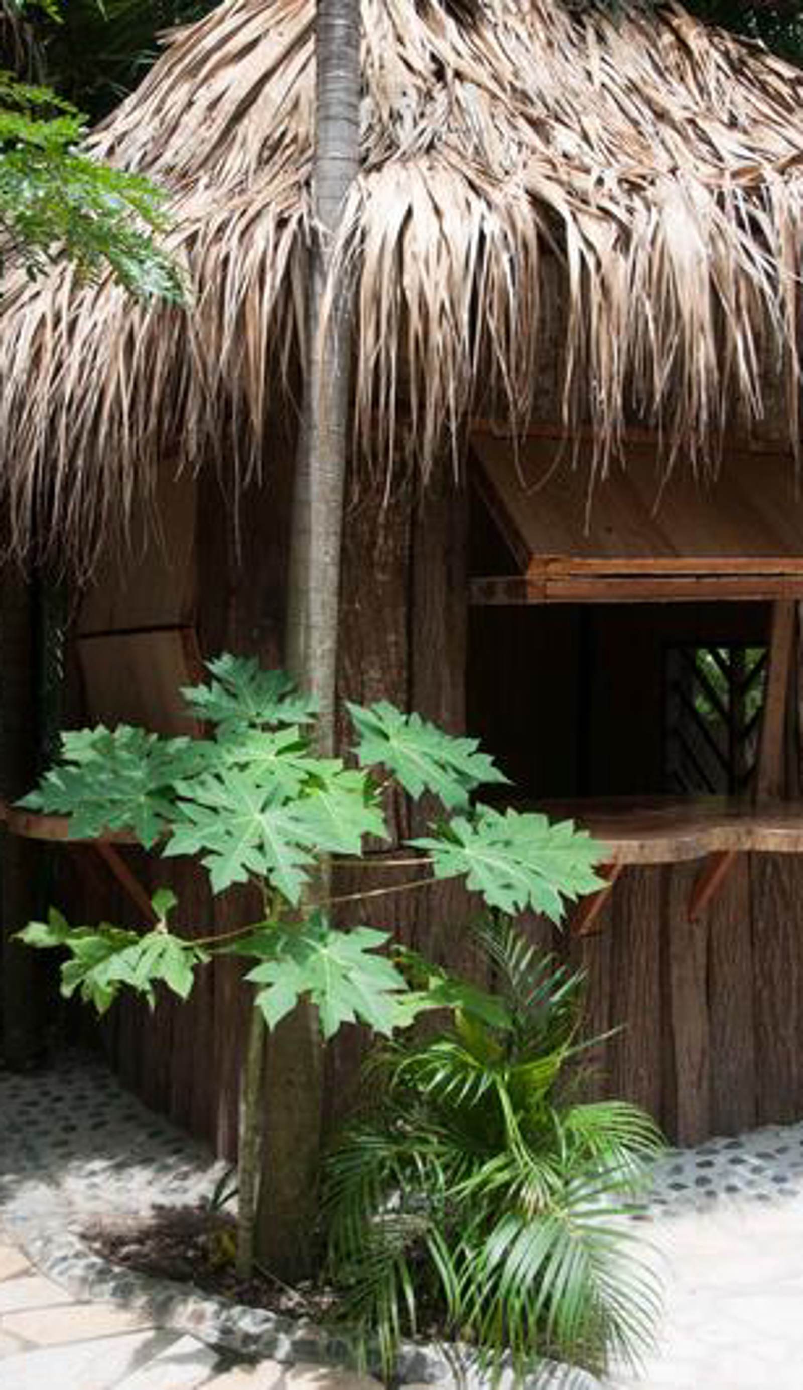 EcoHostal Rio Piedra