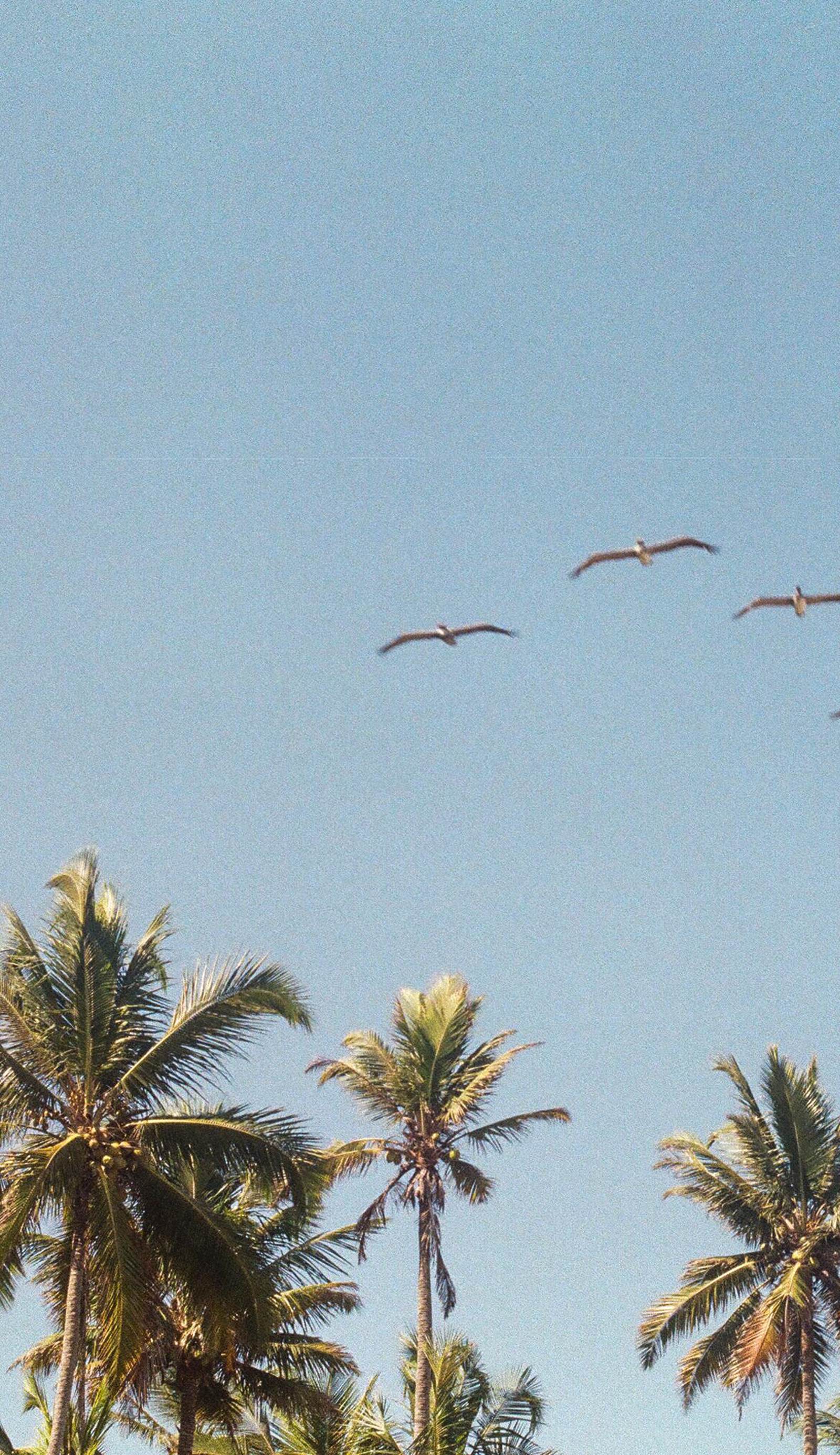 Playa Majila