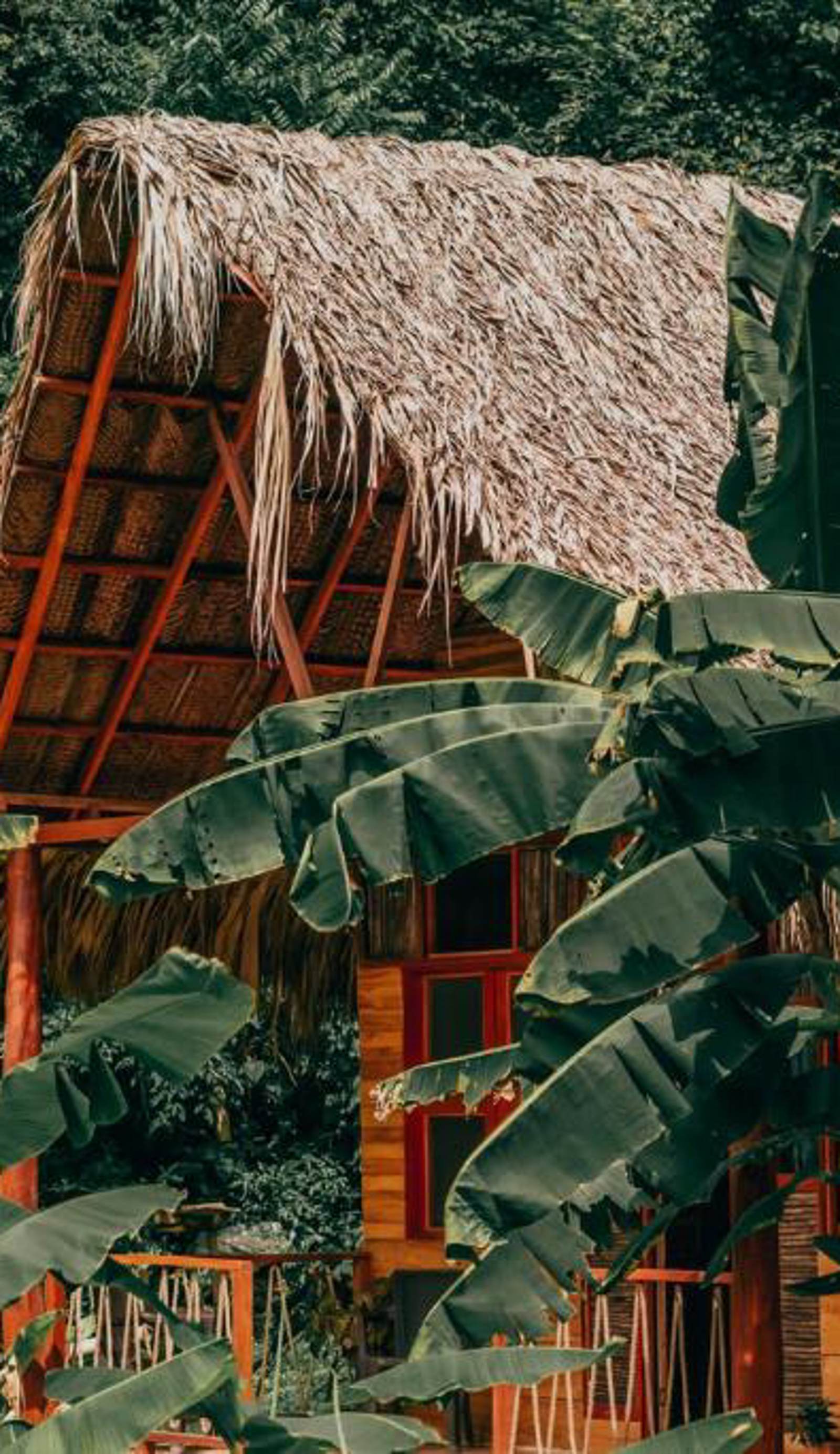 Magic Green Tayrona