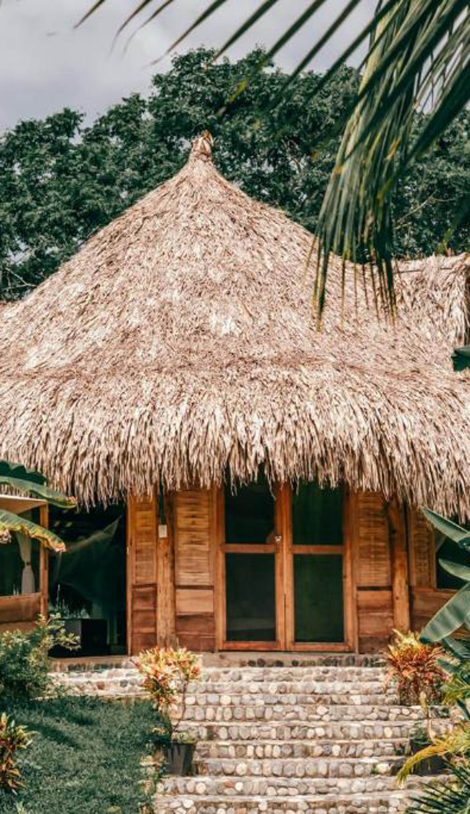 Magic Green Tayrona