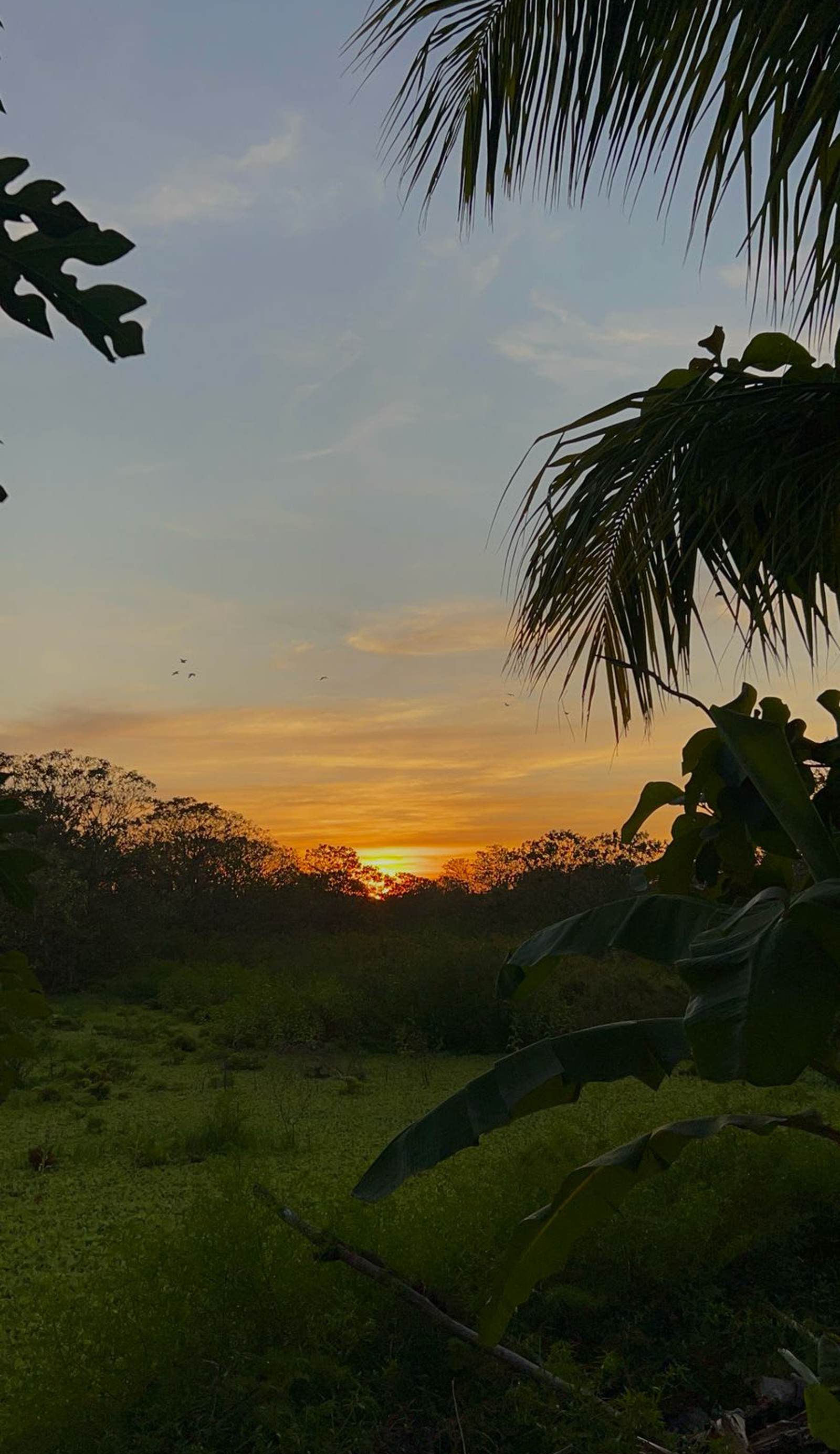Tiki Hostel Ometepe
