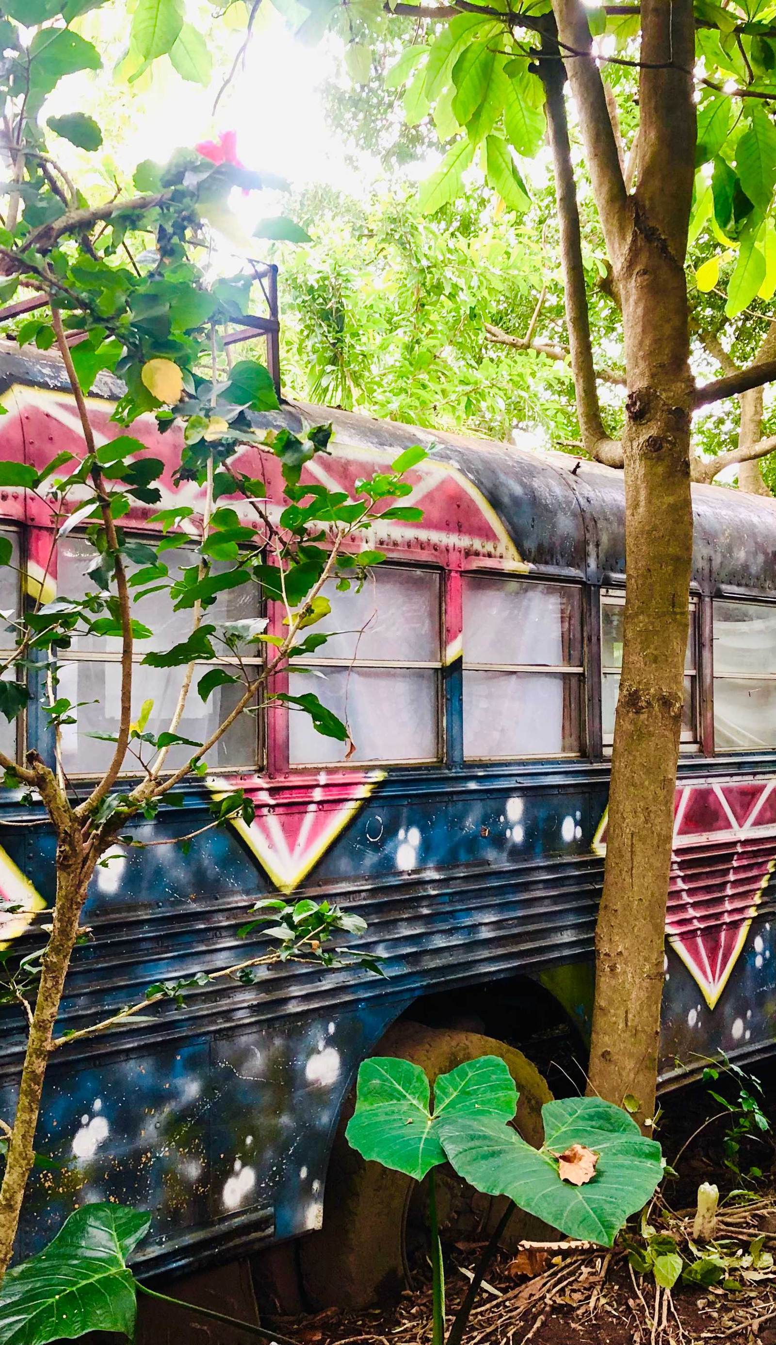 Emerald Rainbow Caravan Hostel