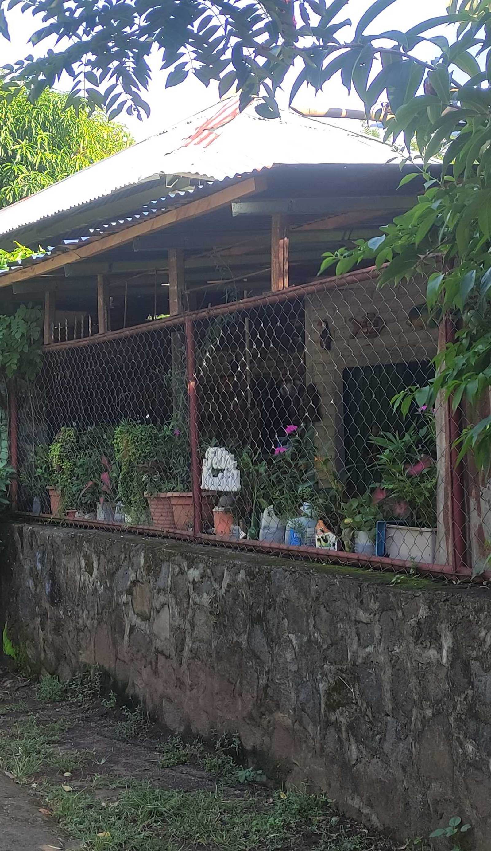 Hostel María Ometepe