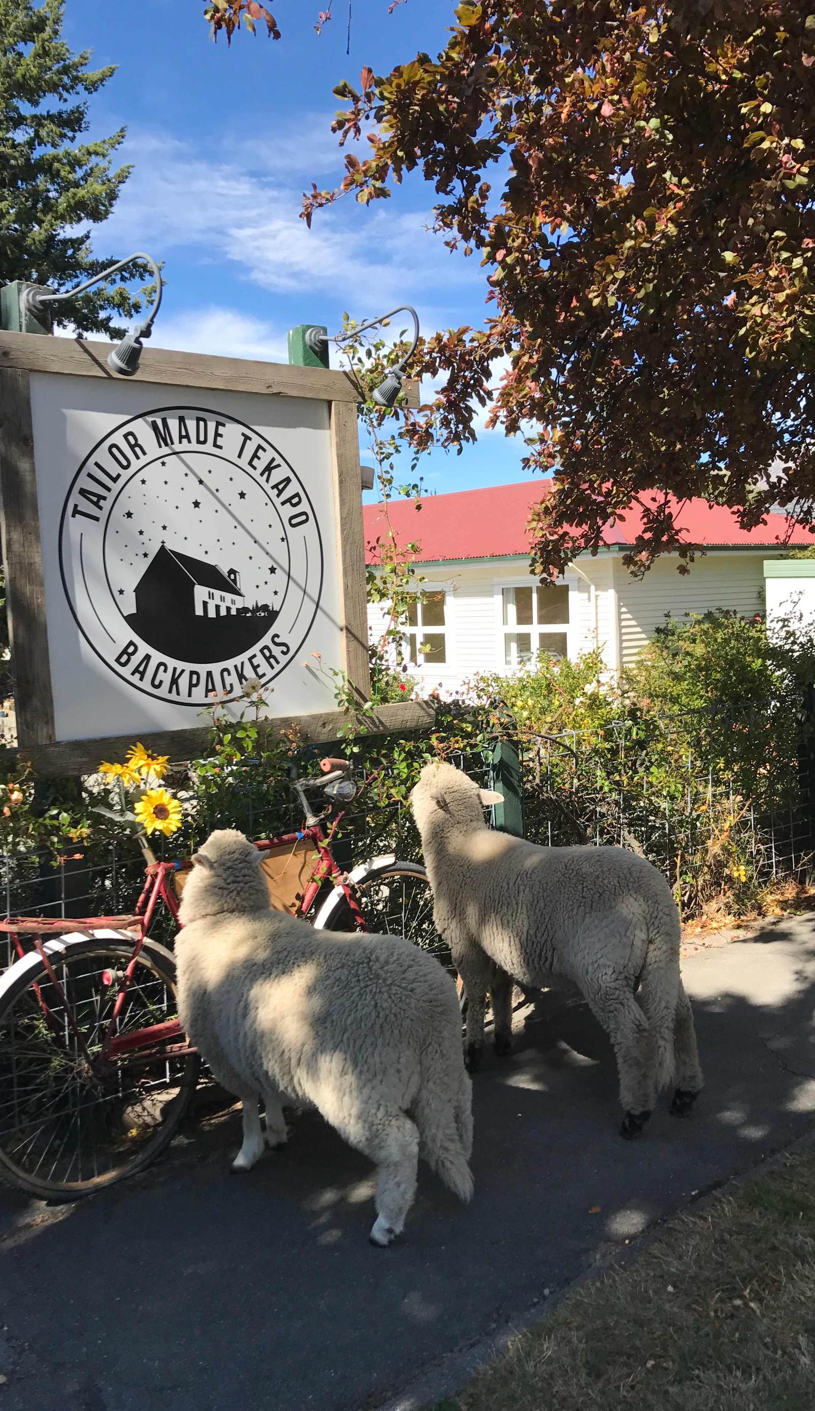 Tailor Made Tekapo Accommodation