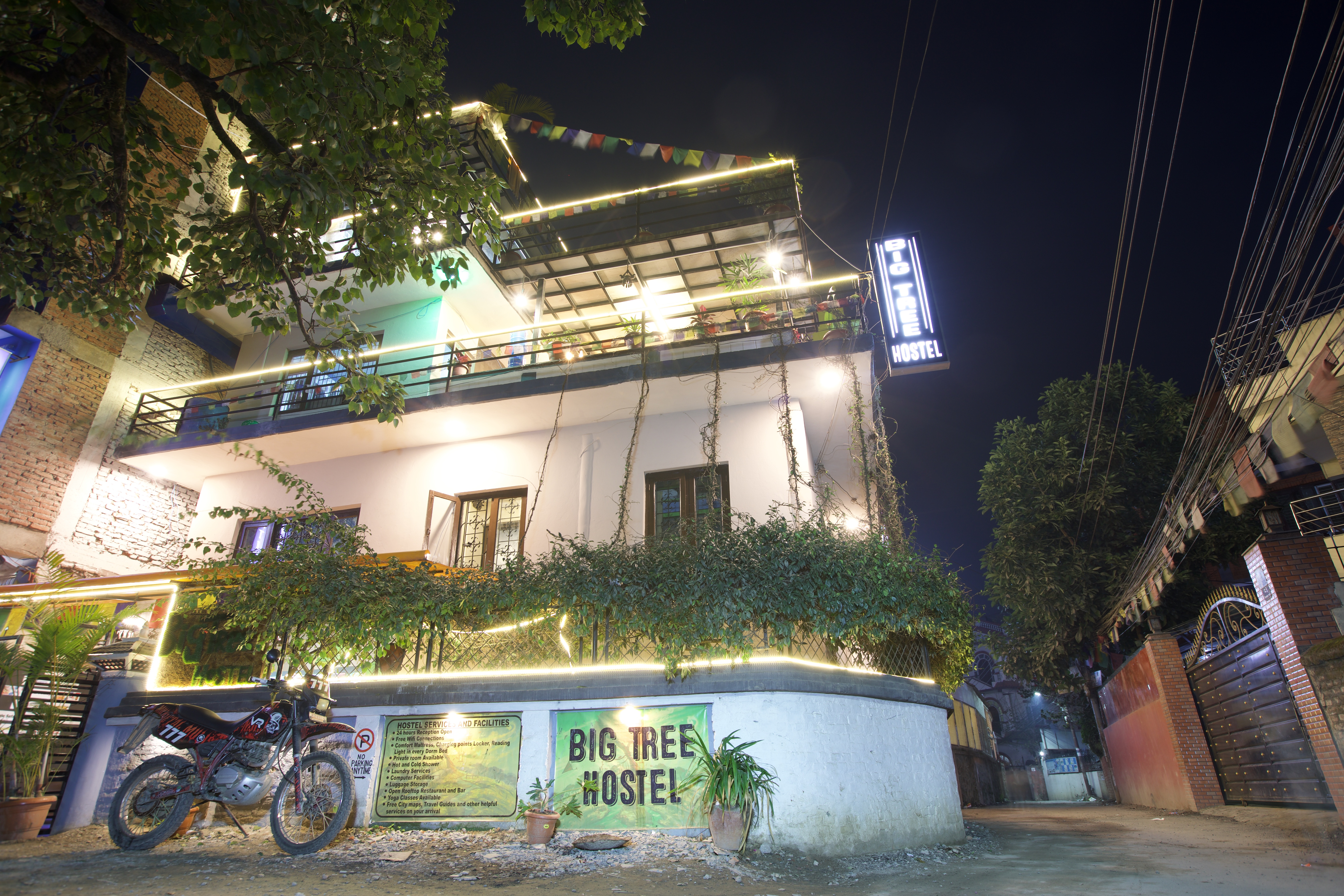 Big Tree Hostel