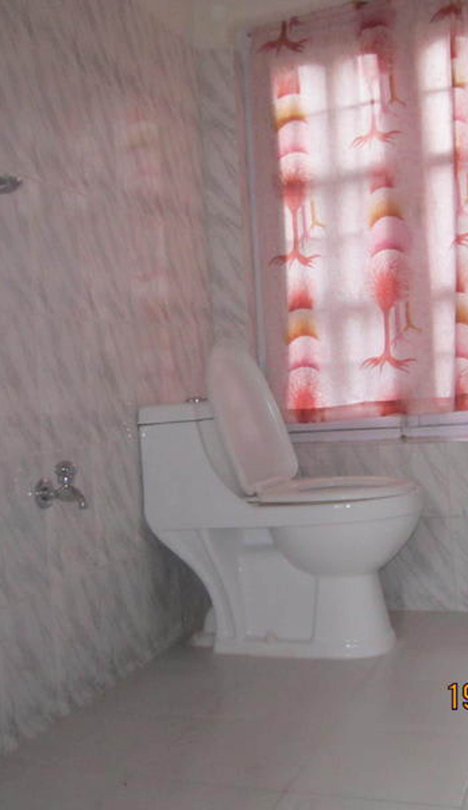 The Happily Ever After Hostel