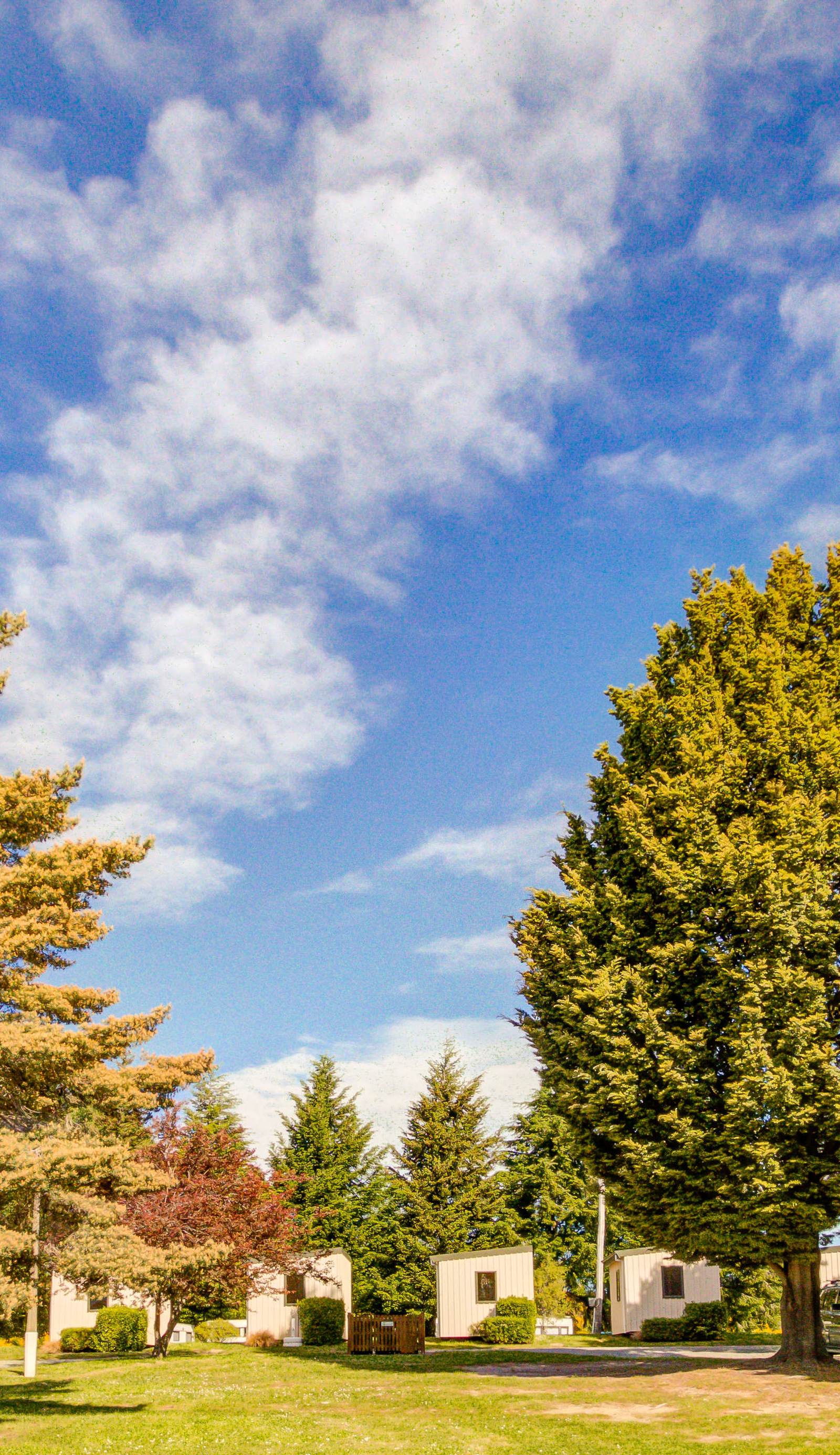 Te Anau Lakeview Holiday Park & Motels