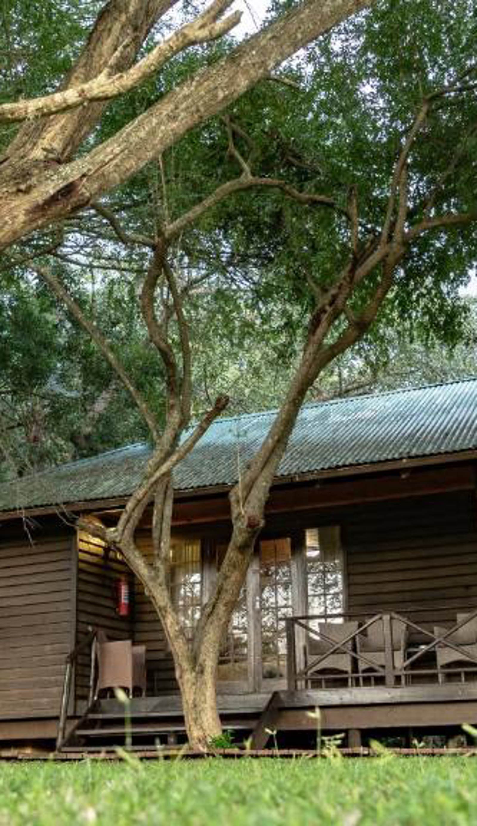 Gooderson Bushlands Game Lodge