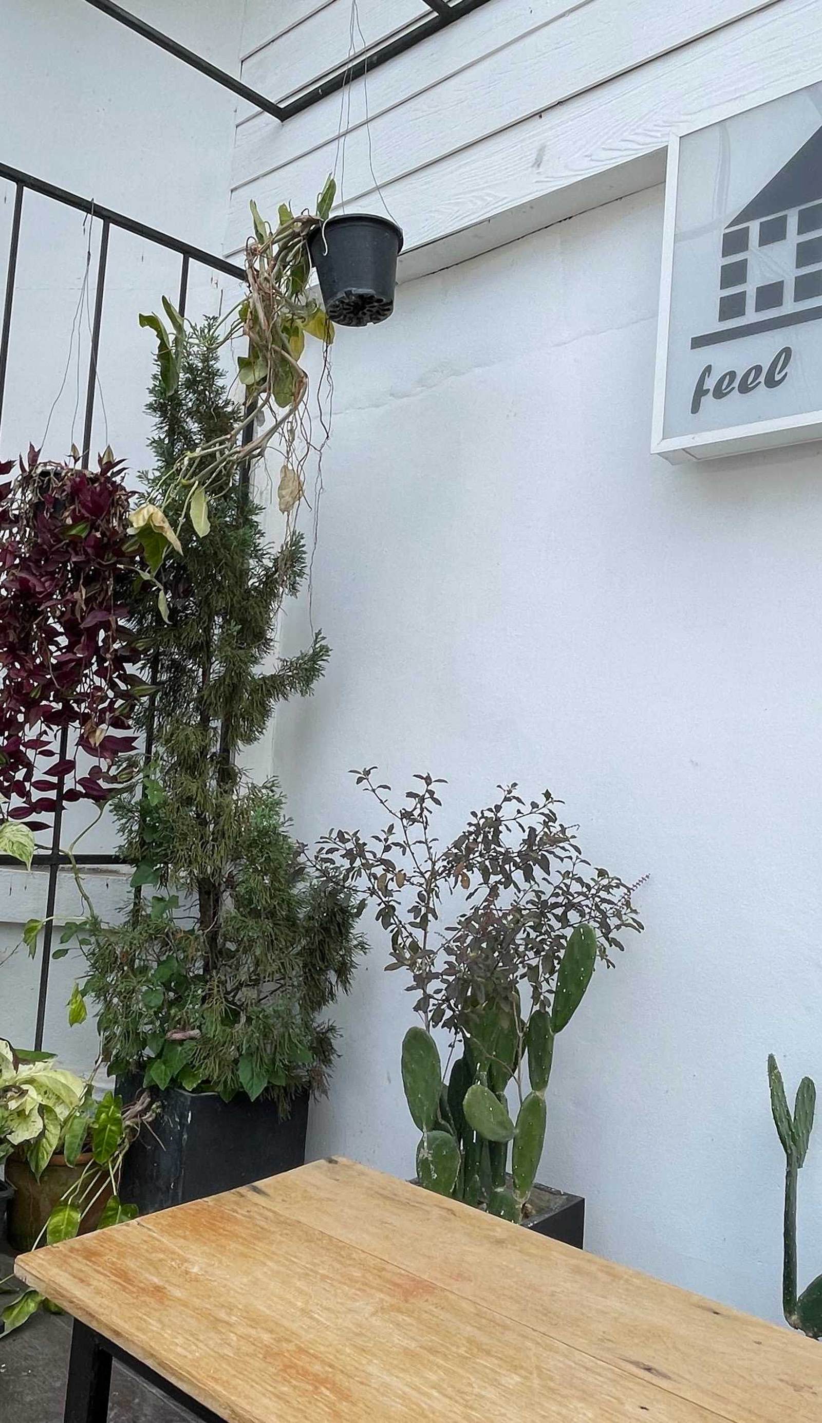 Feel Good Hostel