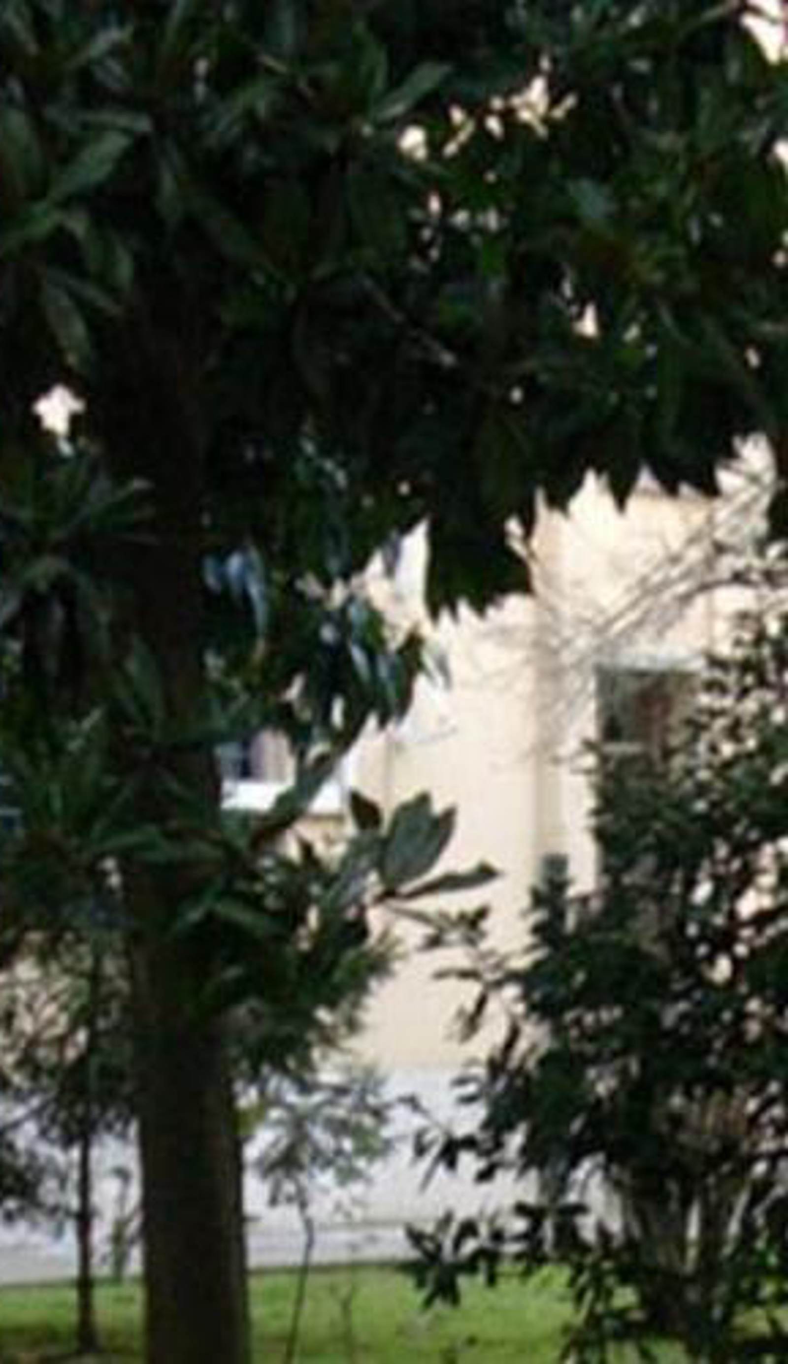 Albergo Bellavista