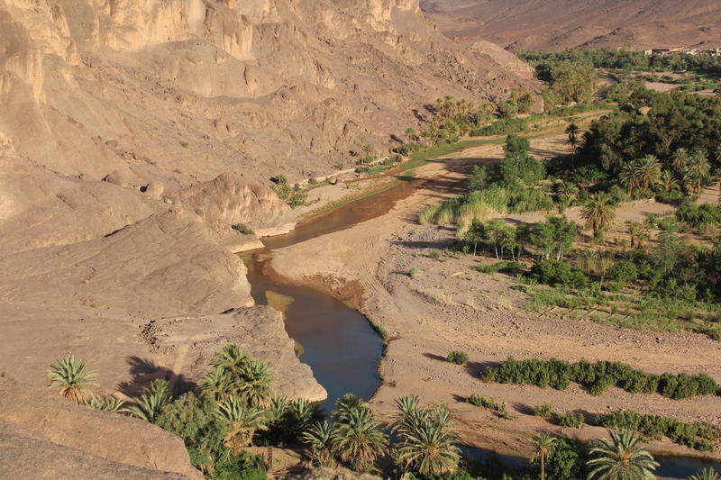 Auberge Restaurant Tissili Oasis de Fint
