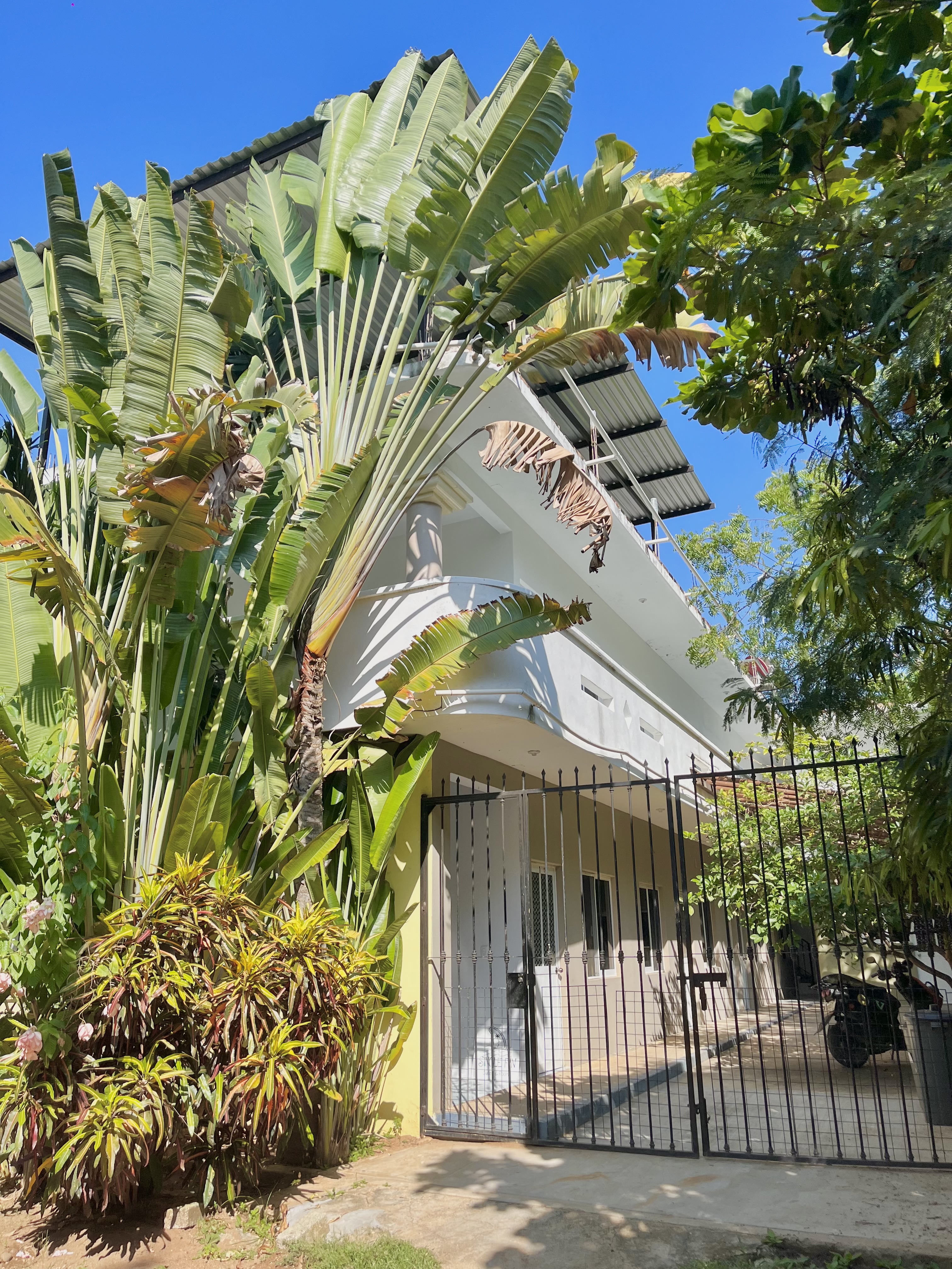 Single Fin Suites & Rooms La Punta