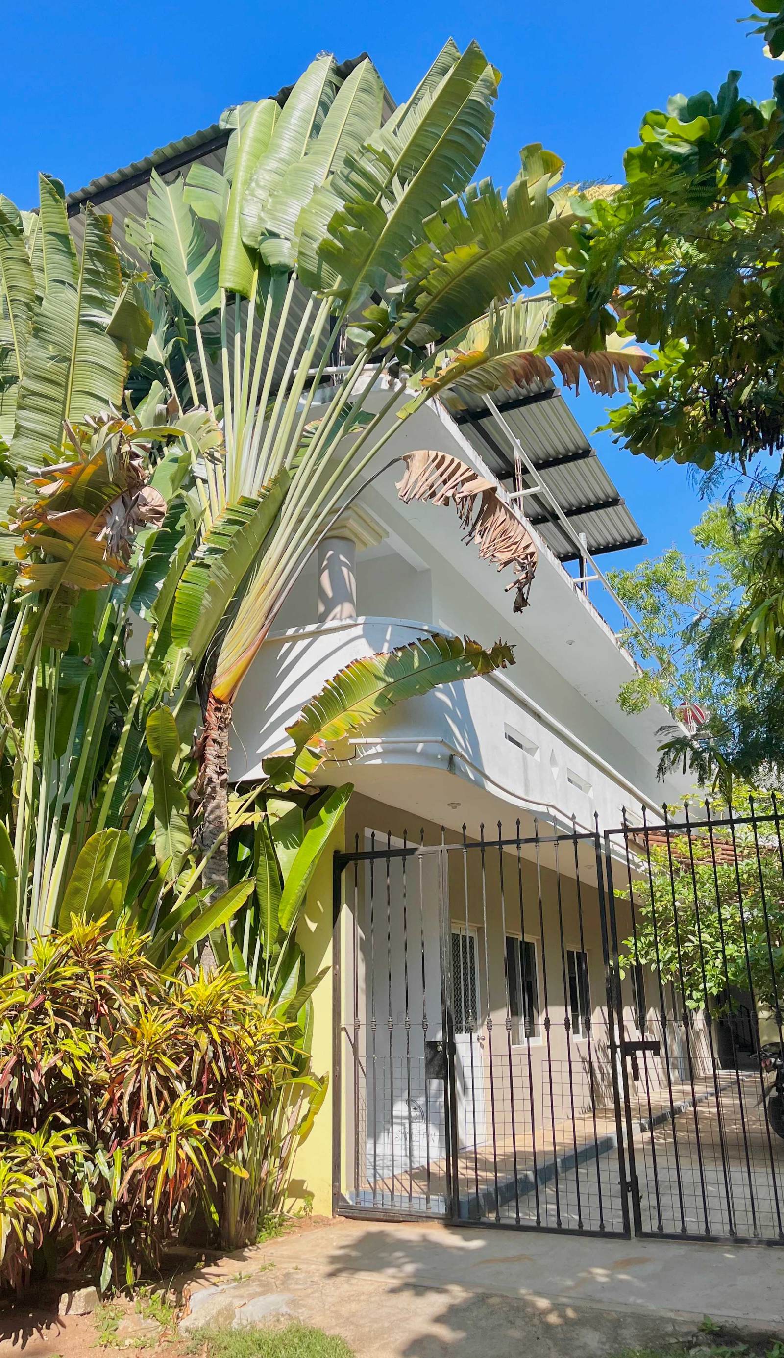 Single Fin Suites & Rooms La Punta