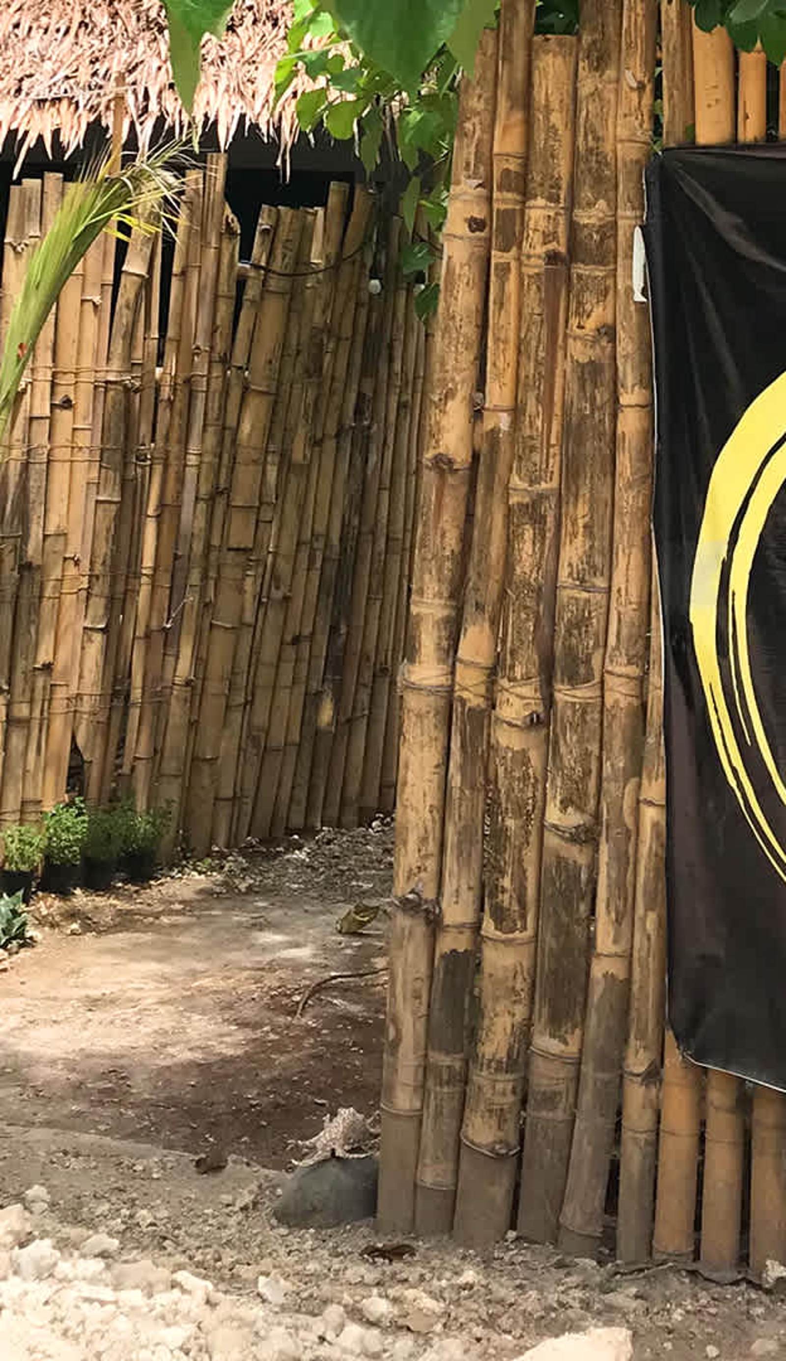 Love Shack Hostel + Cafe