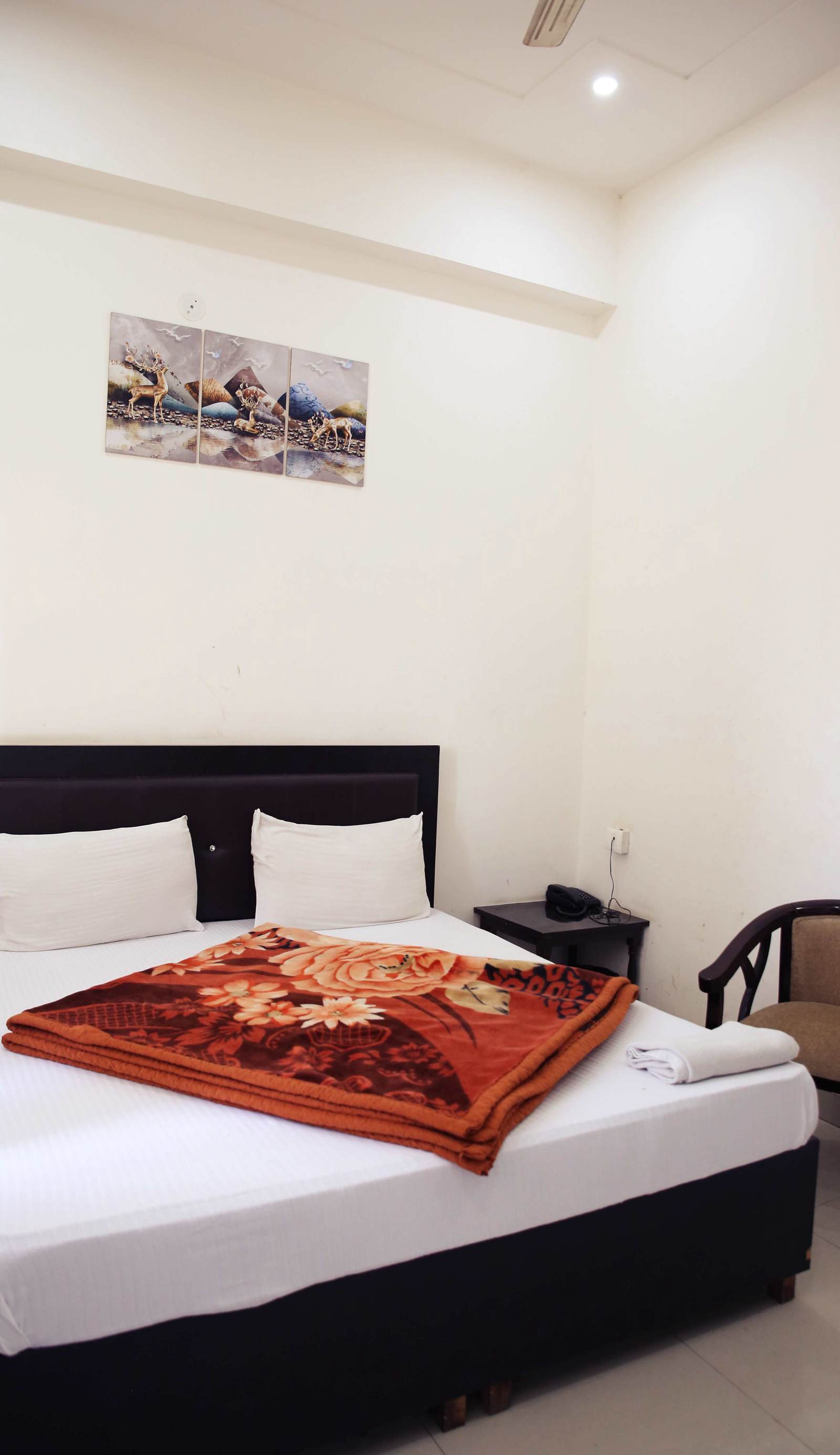 Hotel Satya