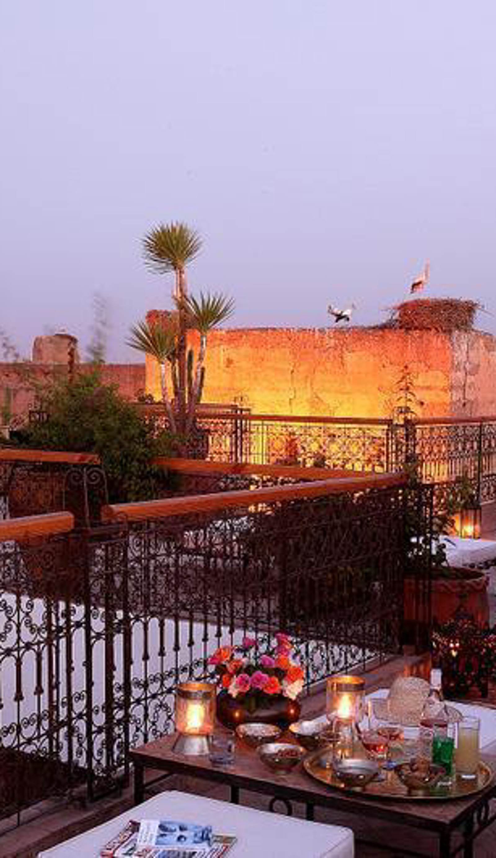 Riad Aladdin