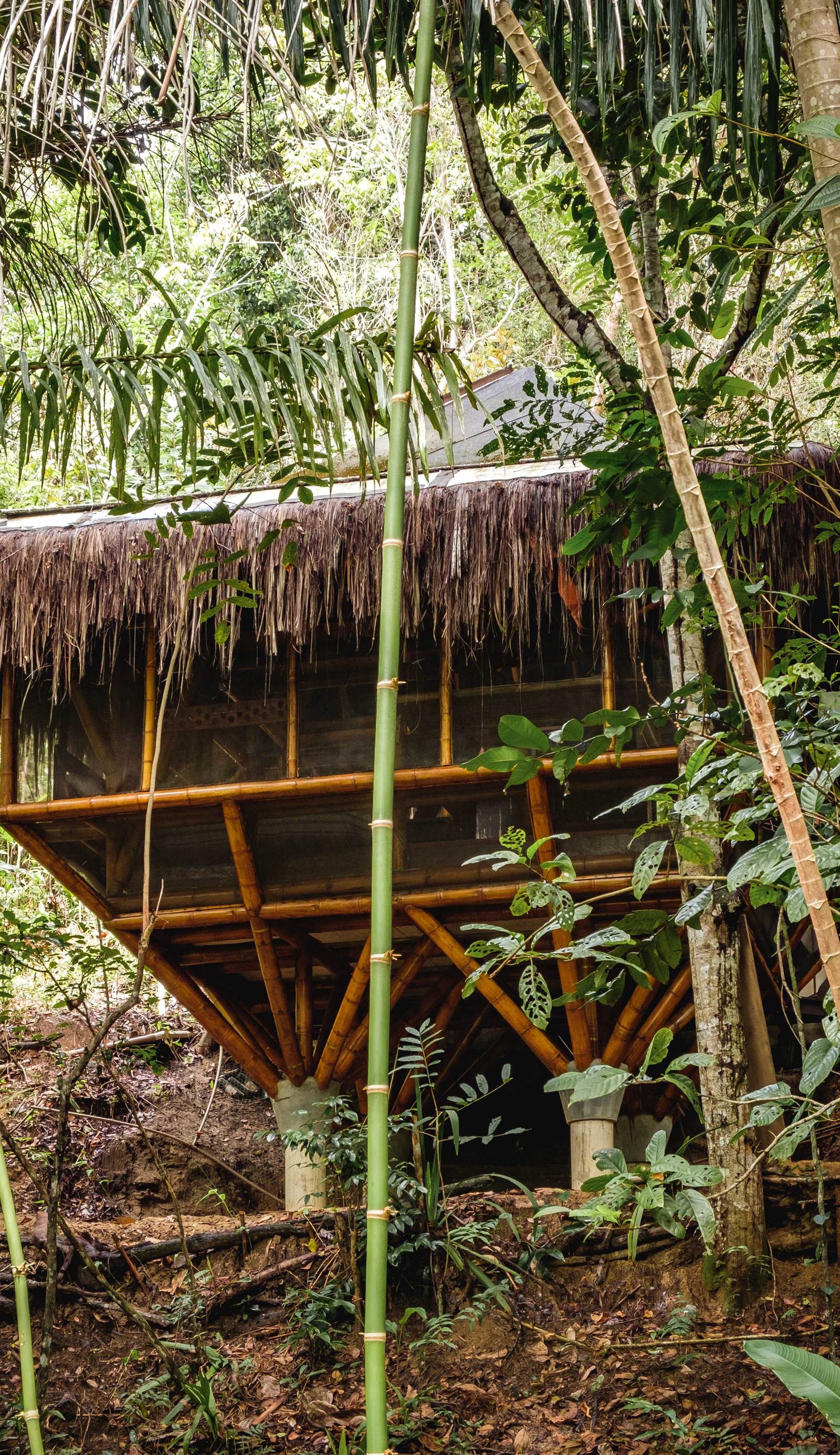 Universo Pol Bamboo Hostel