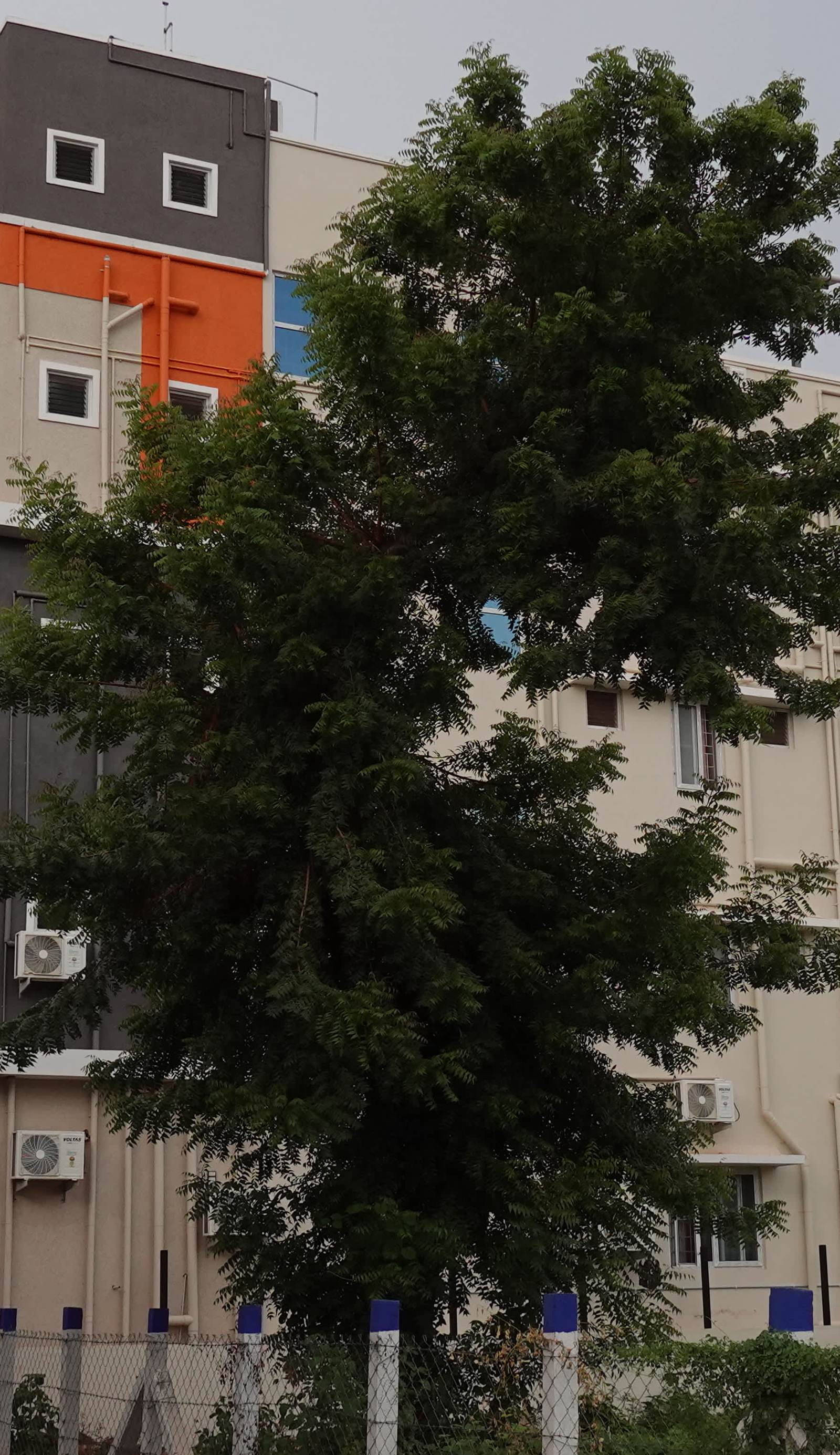 Hotel Akshith Inn