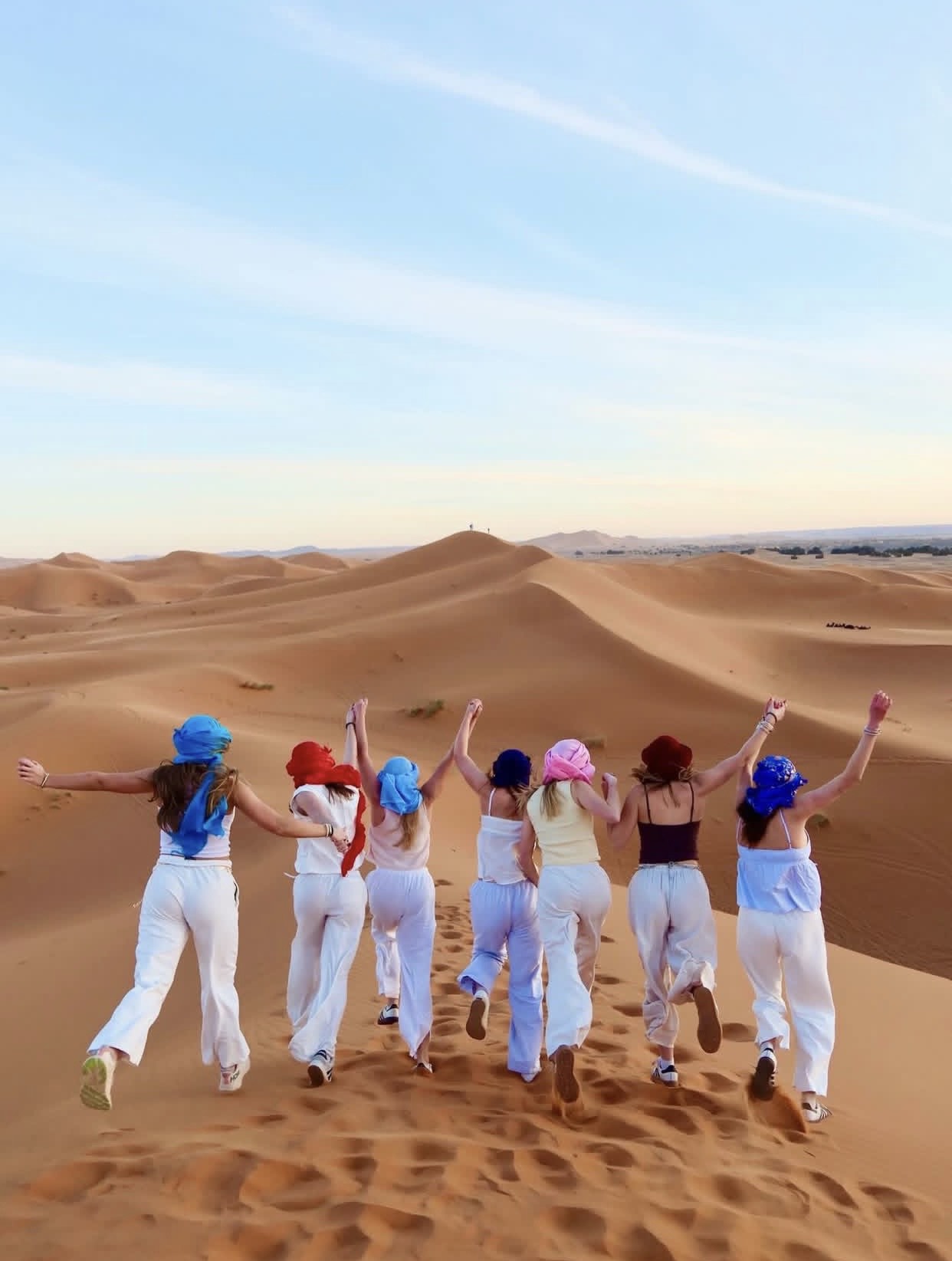 Desert Camel Trekking Camp