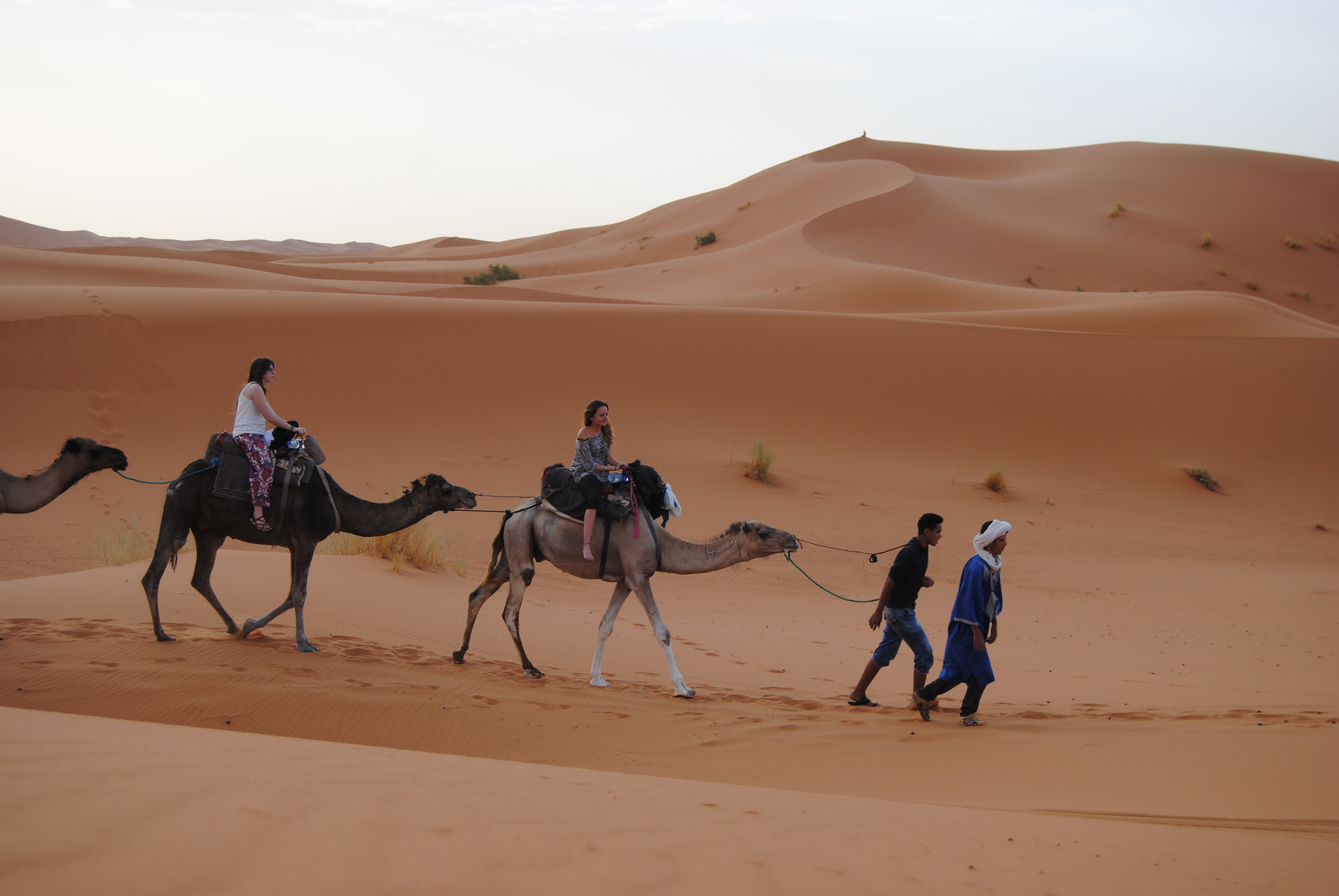 Desert Safari Camp