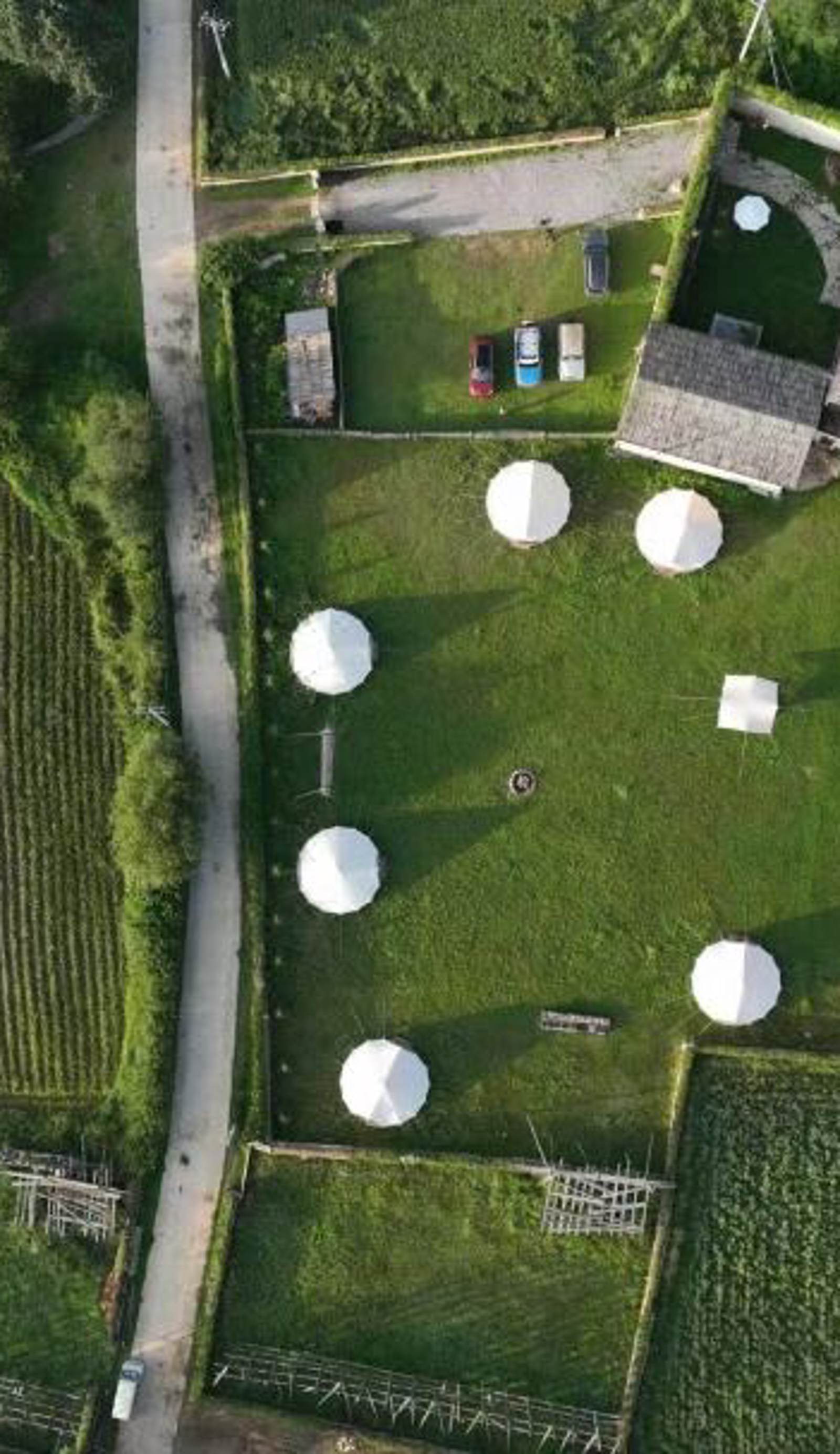 Shangri-la Liotard Farm Fix Camp