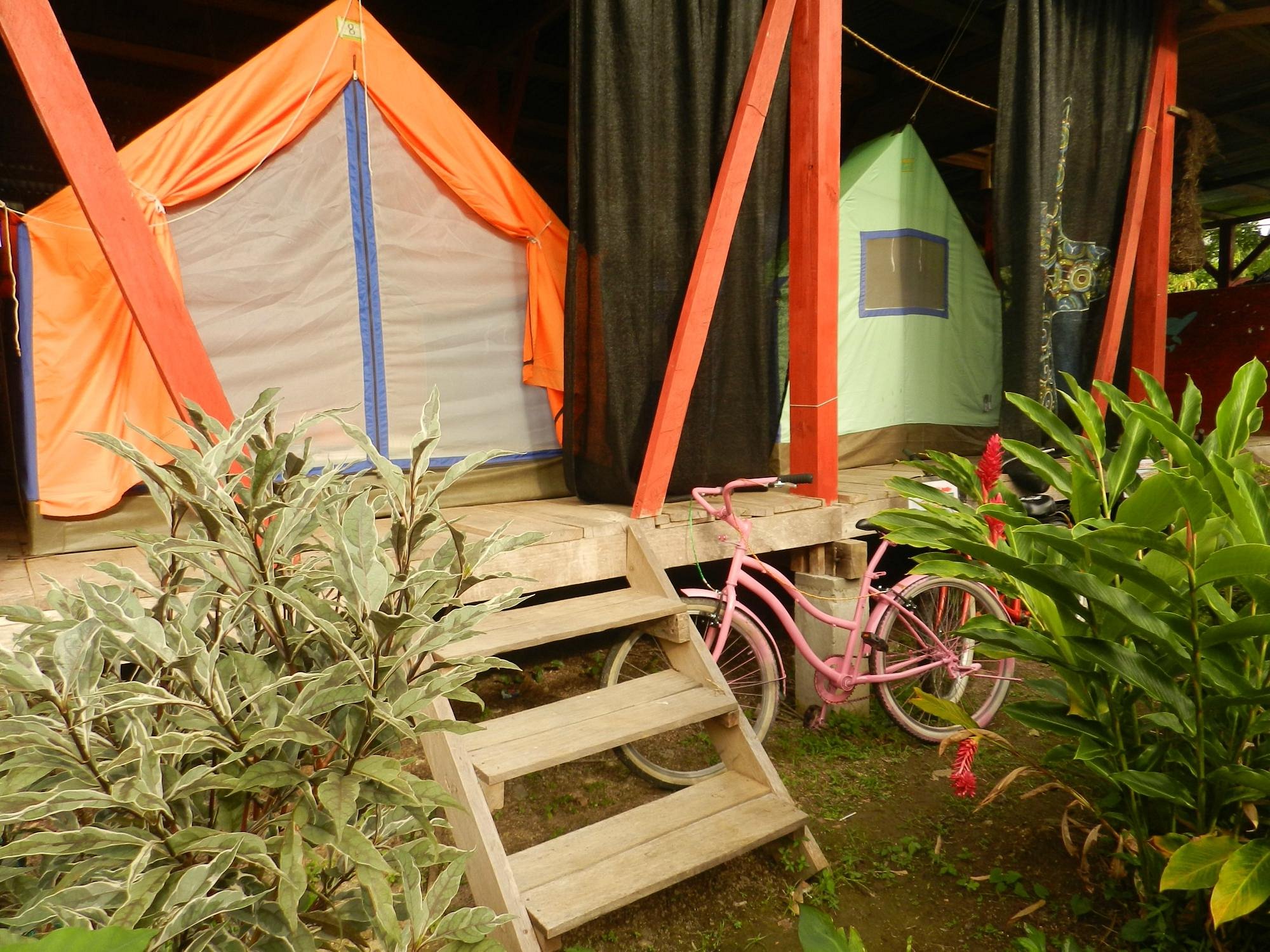 La Y Surf Camp