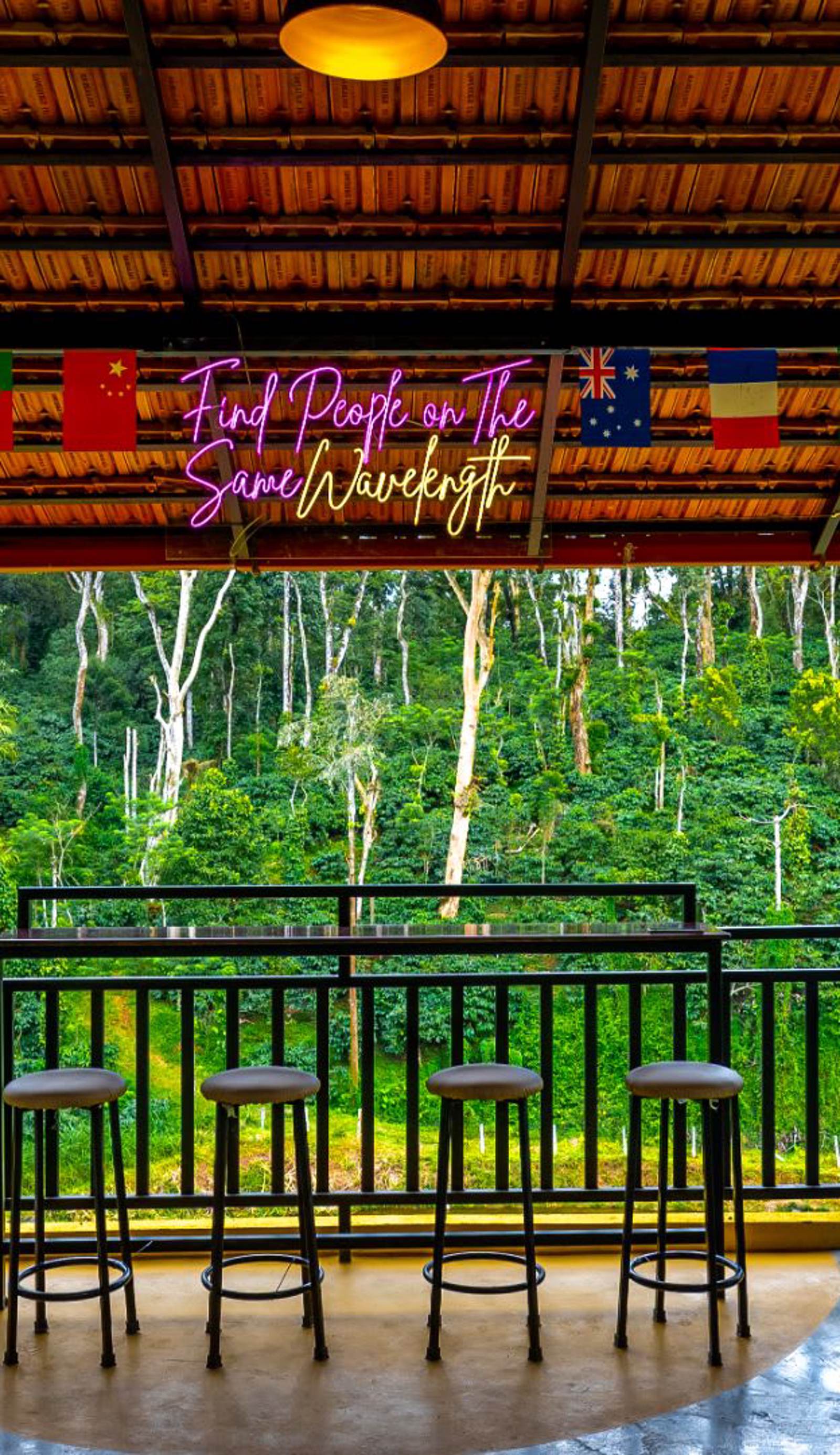 The Hosteller Coorg Rainforest, Madikeri