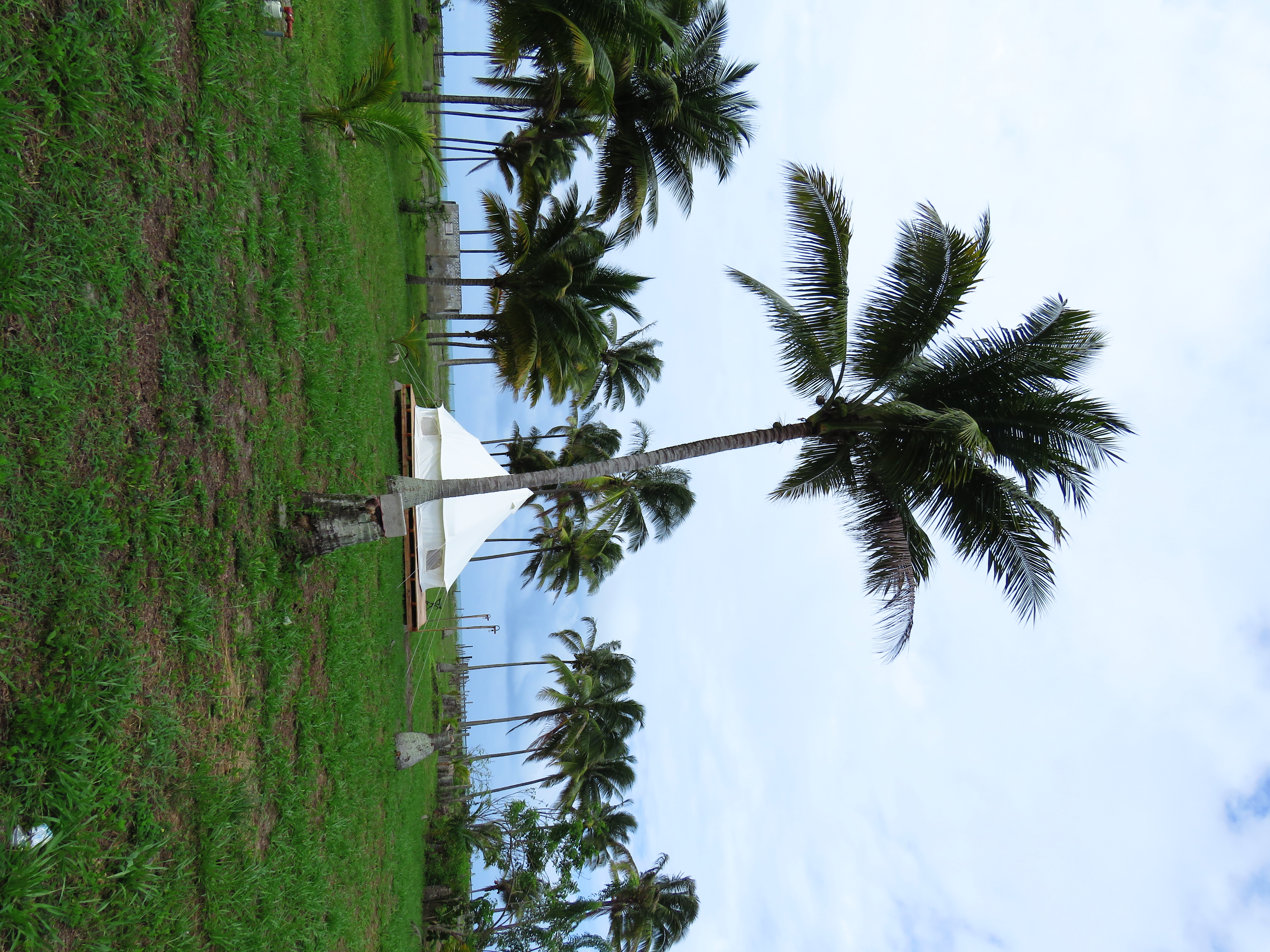 La Isla Bonita