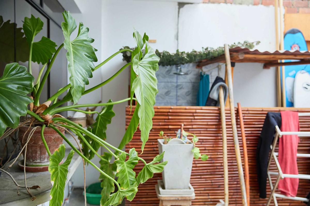 Bravo Hostels: Surf House photo 4