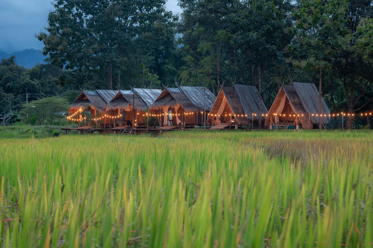 Paddy Fields Haven - Natures Nest photo 1
