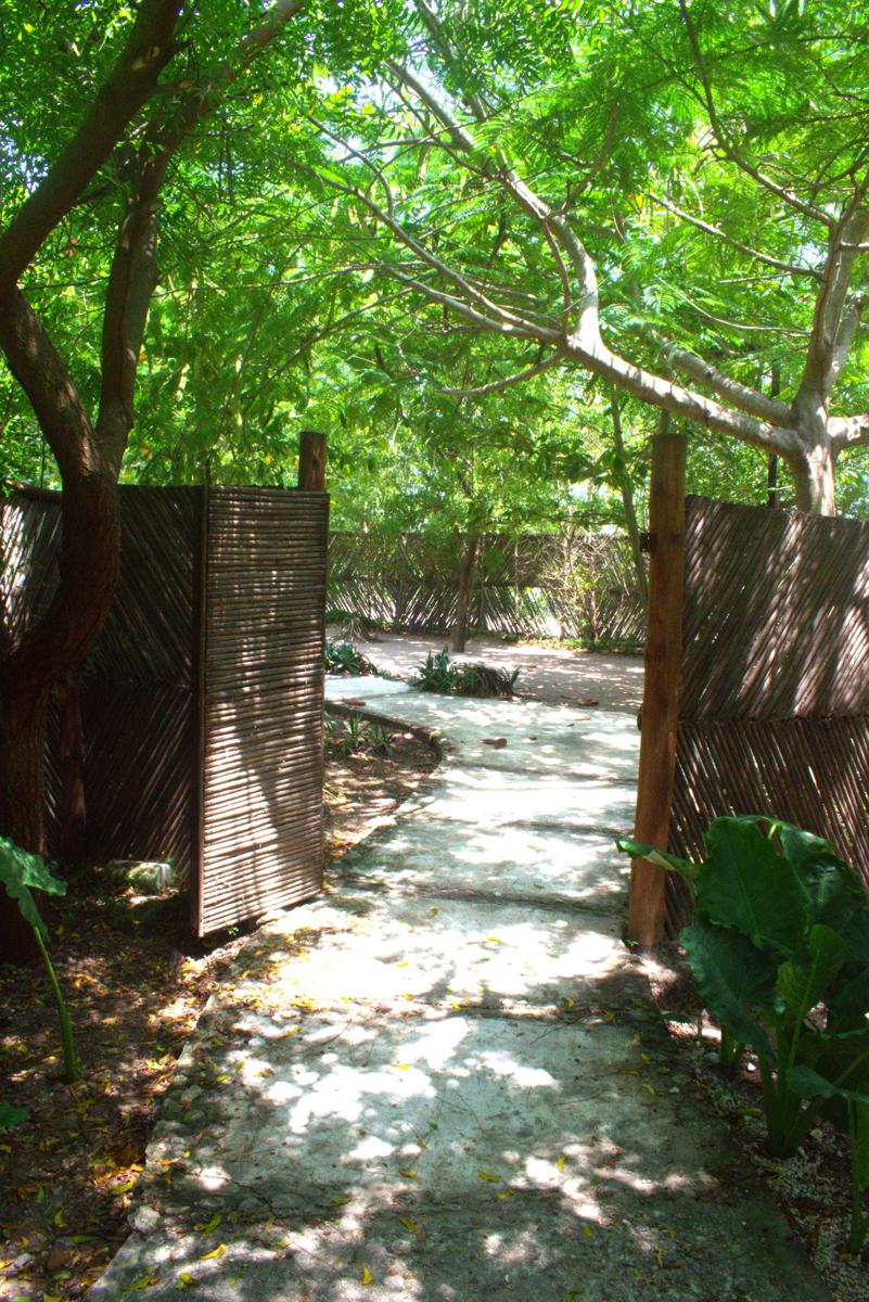 Mango Tree Island 4.20 photo 3