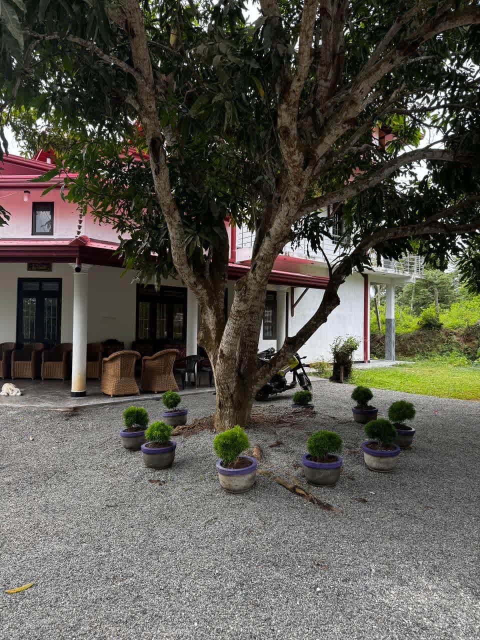 Nomad's Peak Hiriketiya photo 2