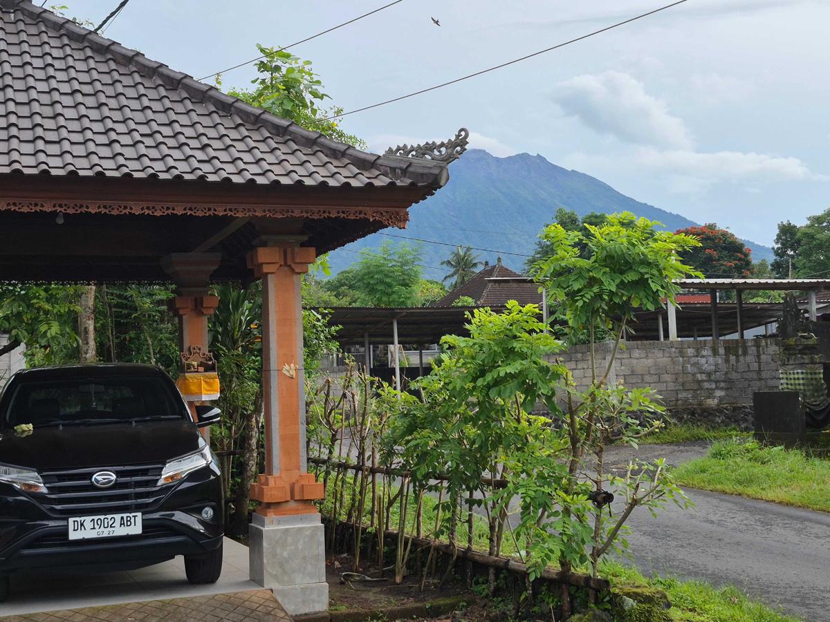 Villa Taman near Sidemen Bali photo 1
