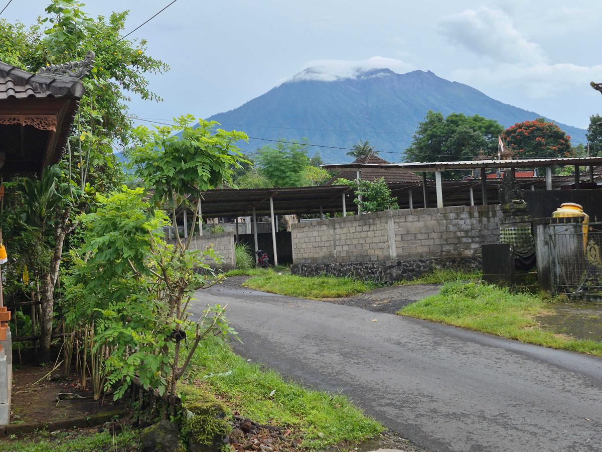 Villa Taman near Sidemen Bali photo 3