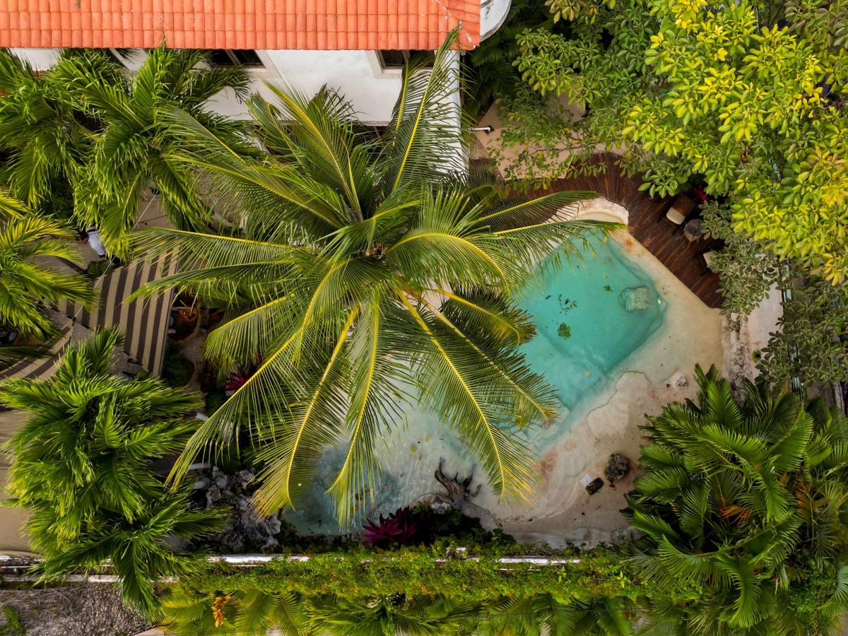 Mezcal  Boutique Hotel photo 3