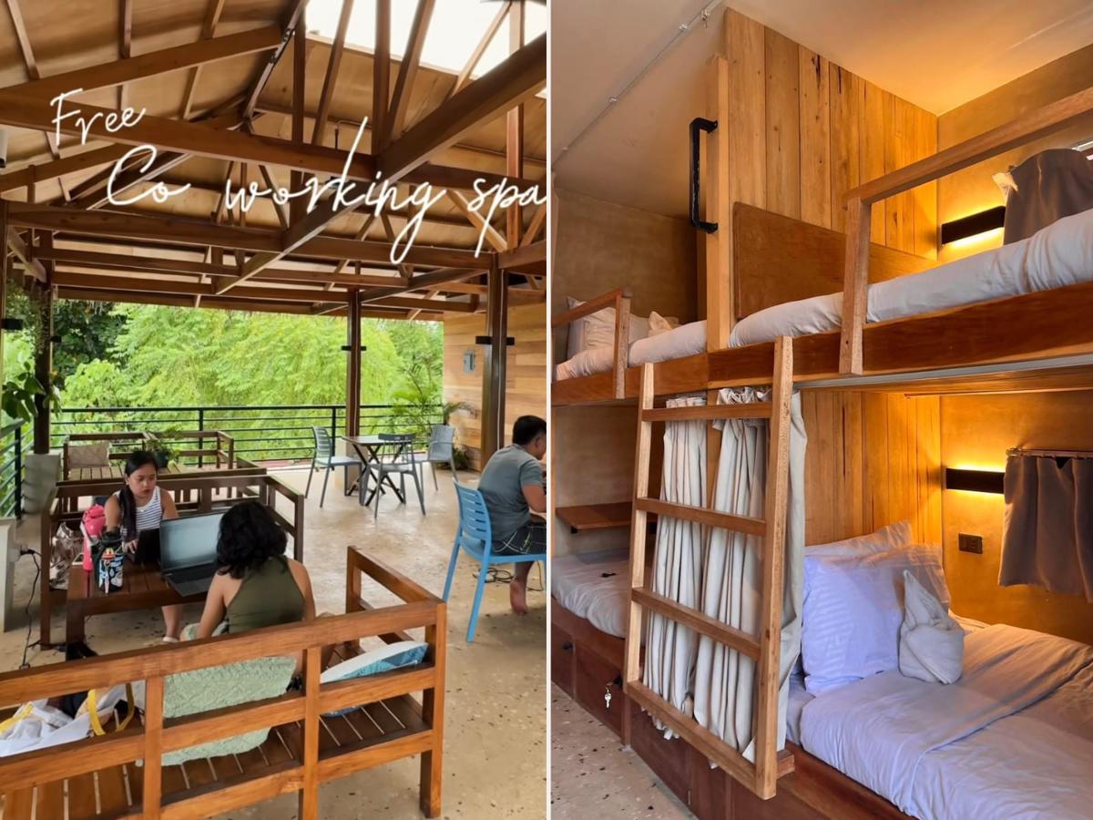 Matcha Hostel Siargao photo 4