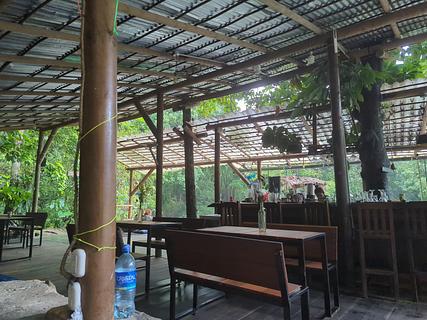 Rio Elemento Ecolodge photo 6