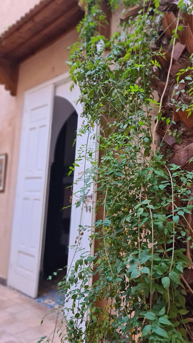 Hostel Laksour photo 4