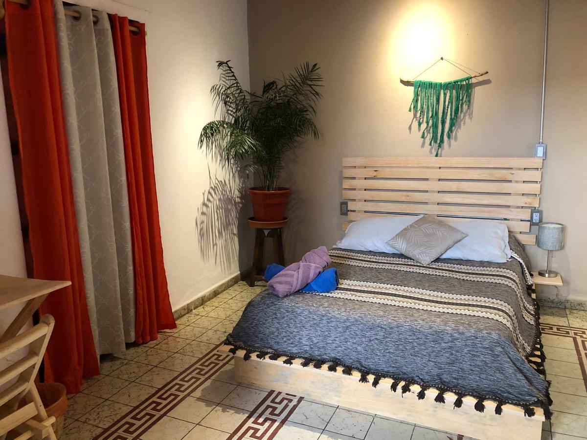 Hostal Casa Gaia photo 1