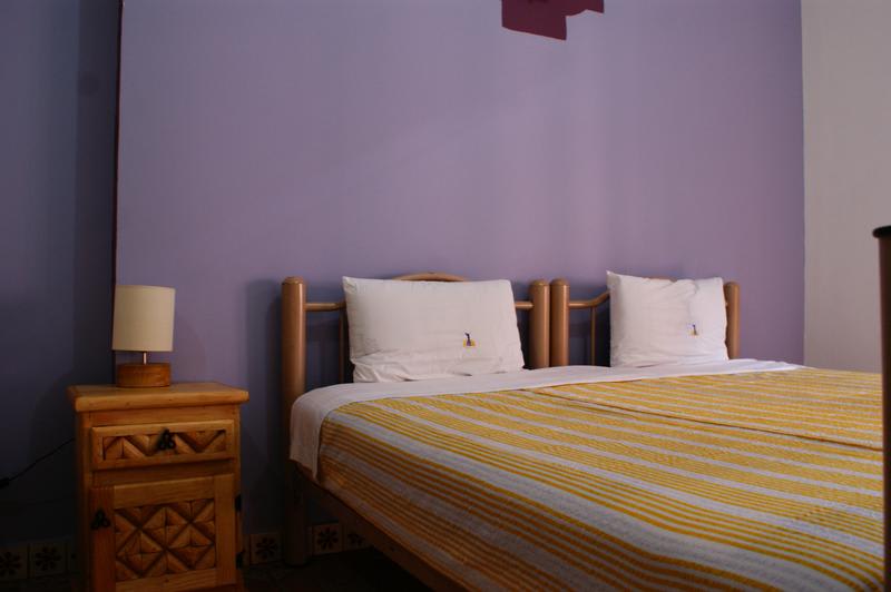 Mexico City Hostel photo 2