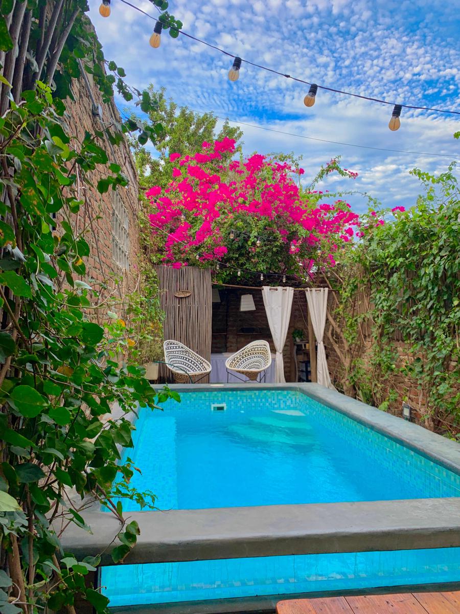 Musa Paradisiaca Hostal photo 3
