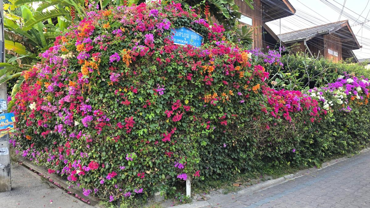 Siriwan House photo 4