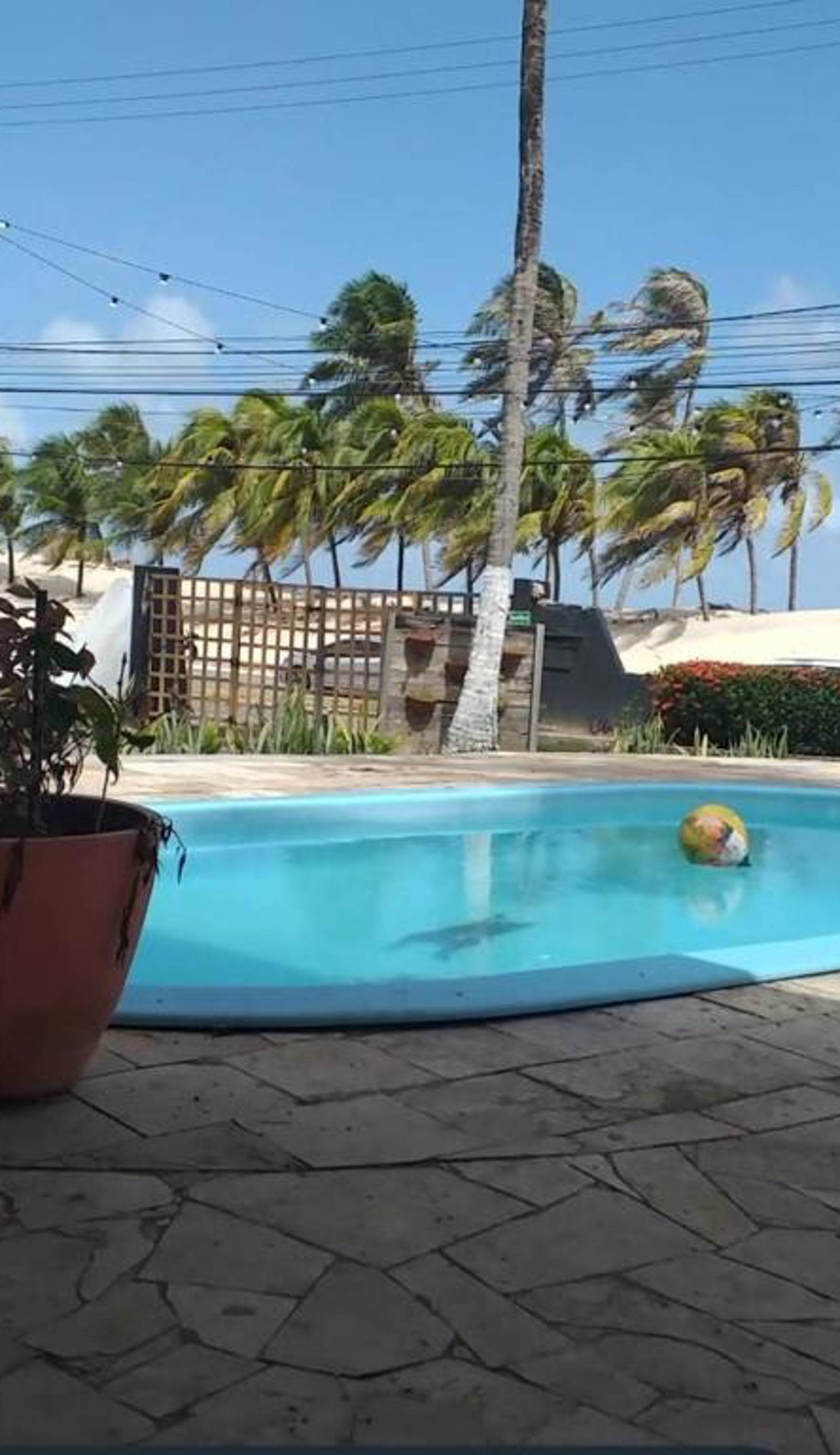 Soul Lounge Hostel