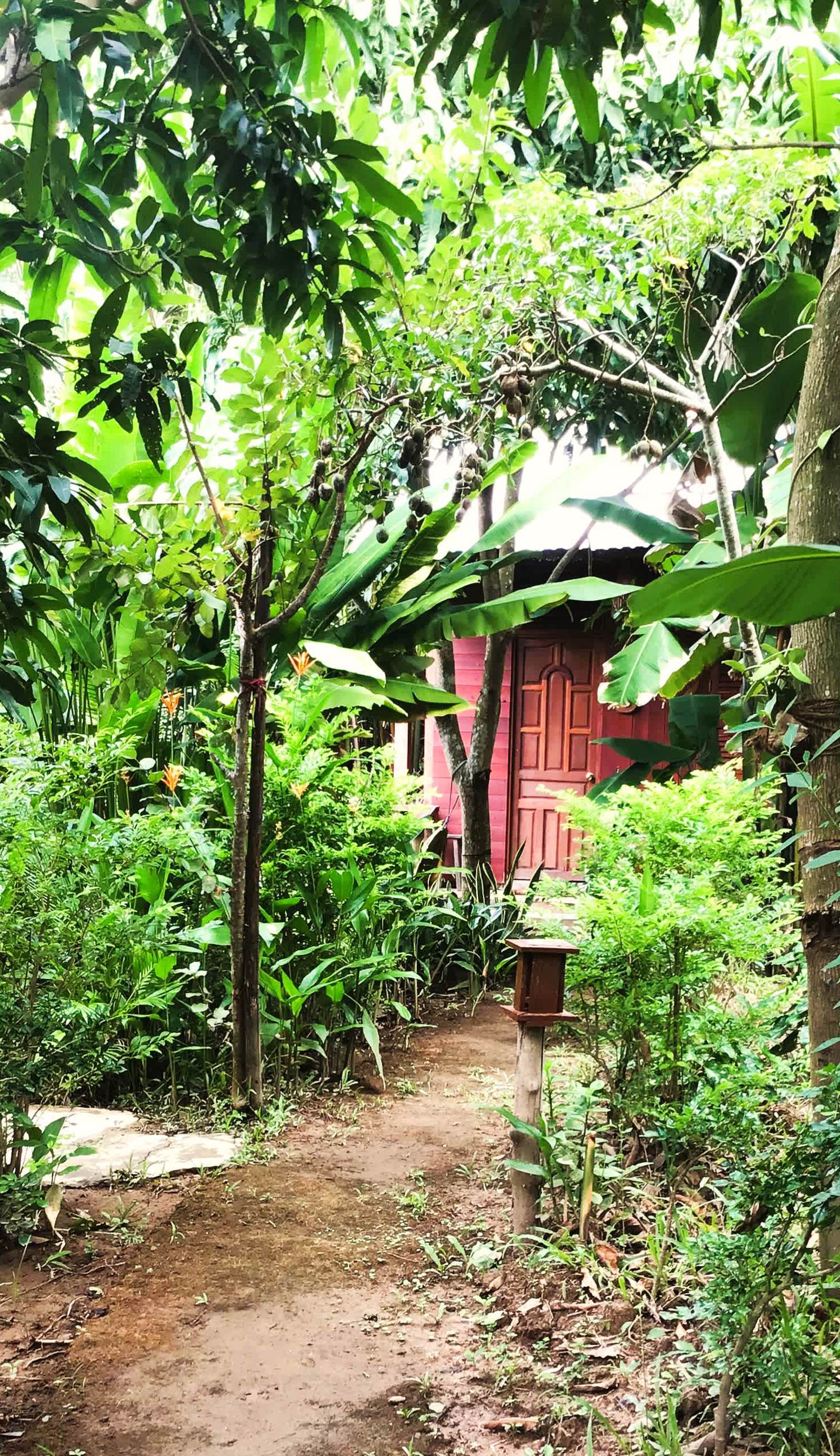 Ben Tre Farm Stay