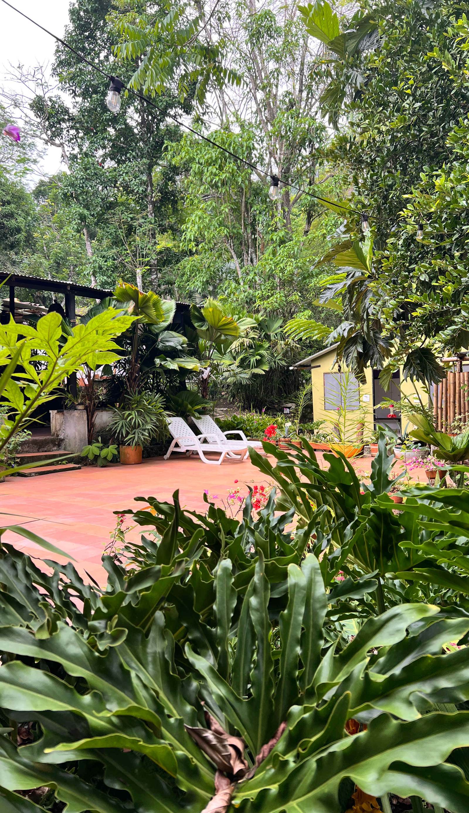Reserva Biologica Caoba