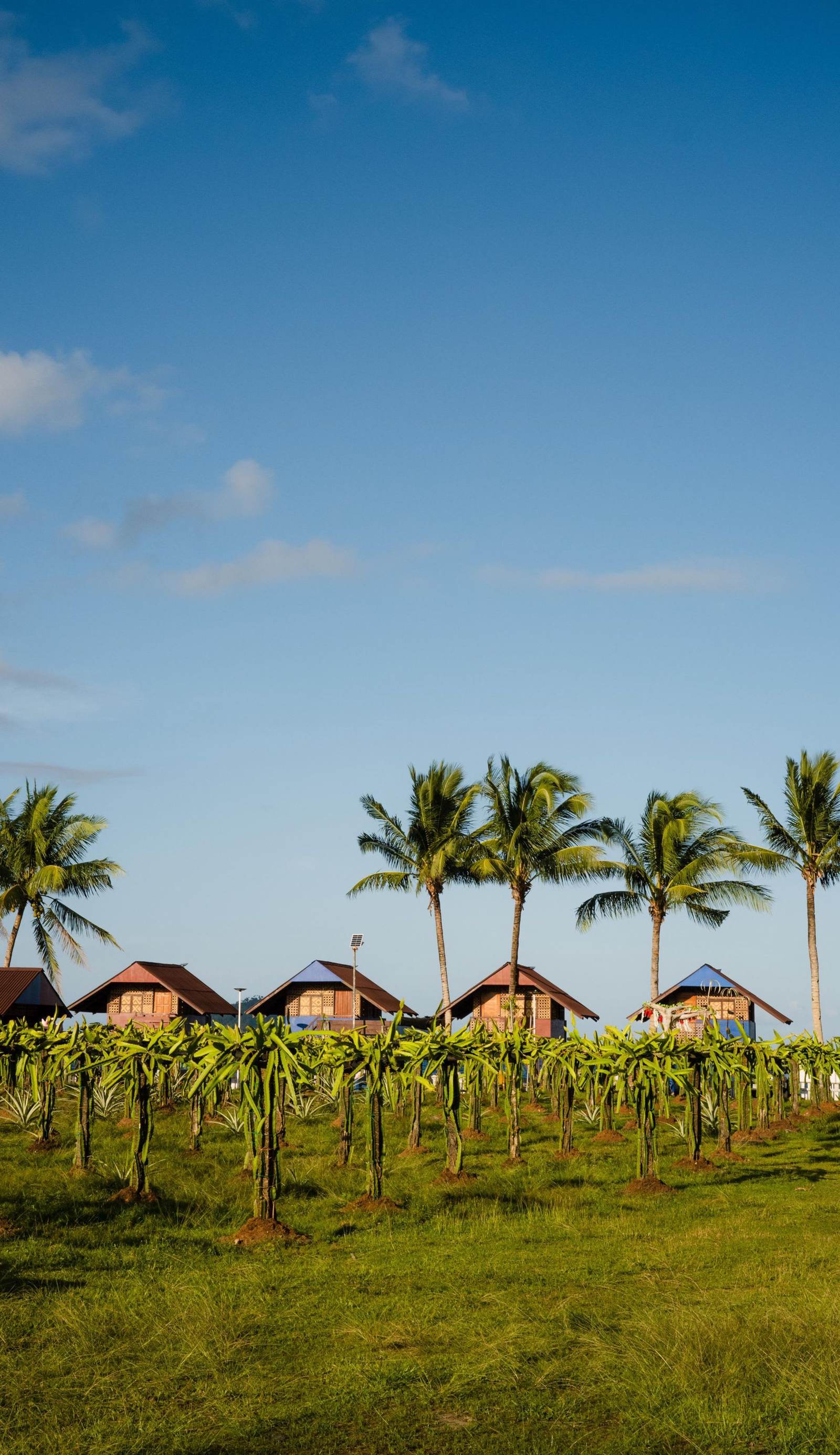 Kalinao Beach Integrated Farm