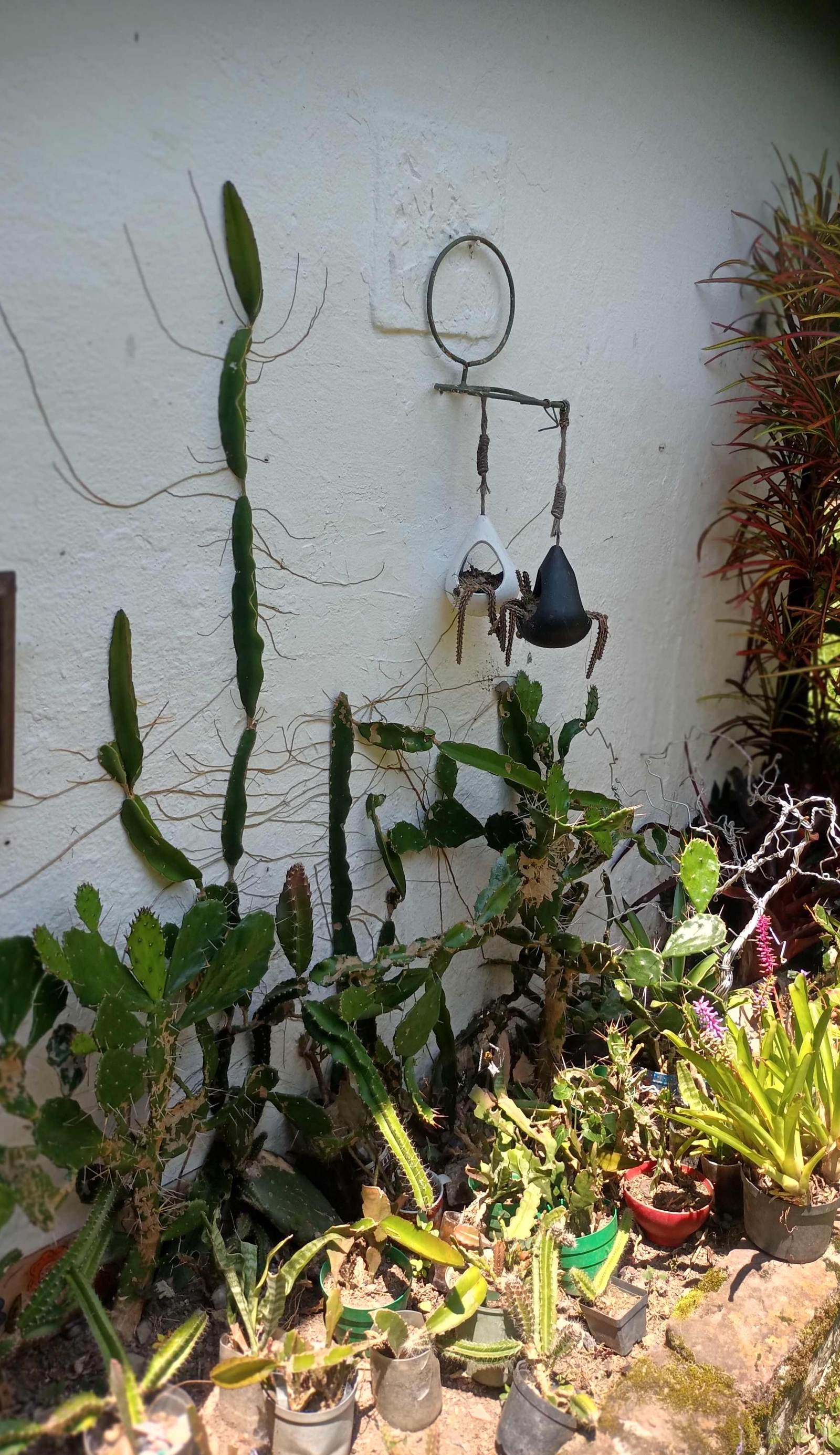 Skale Peregrino Ecolodge
