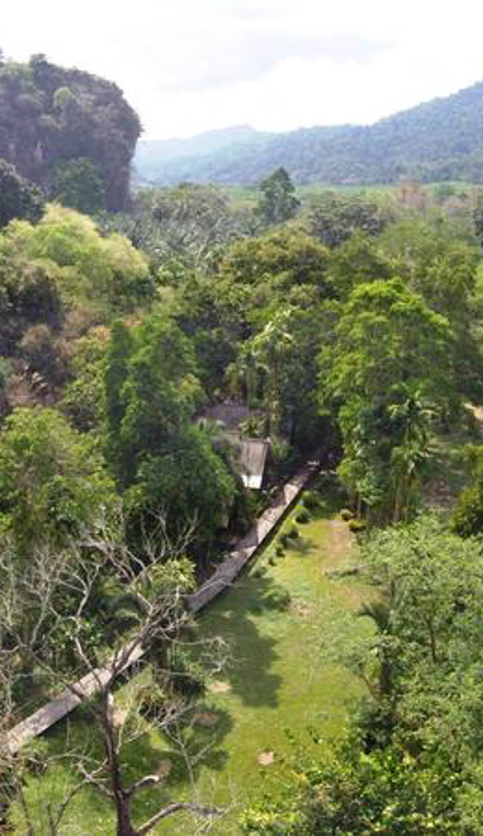 Khao Sok Riverside Cottages